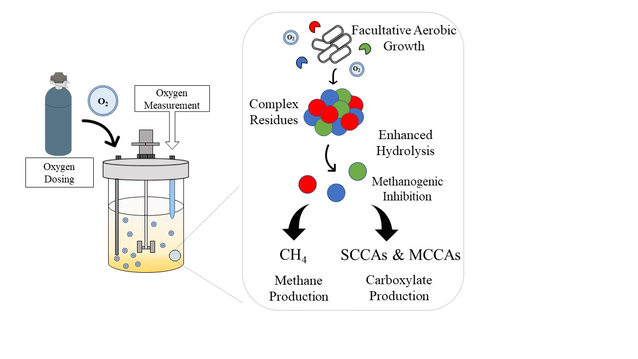 Fermentation Free FullText The Measurement, Application, and