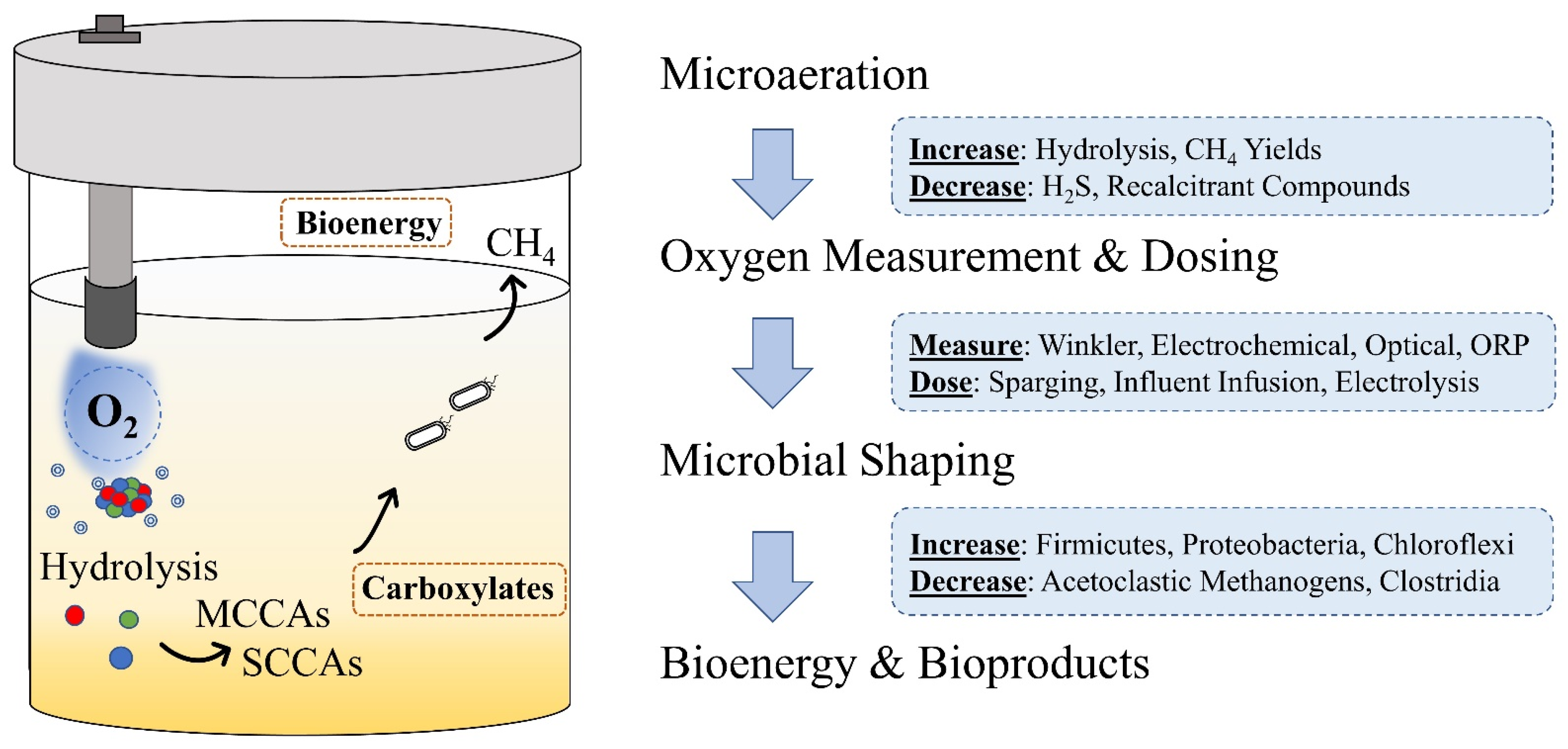 Fermentation 08 00138 g001