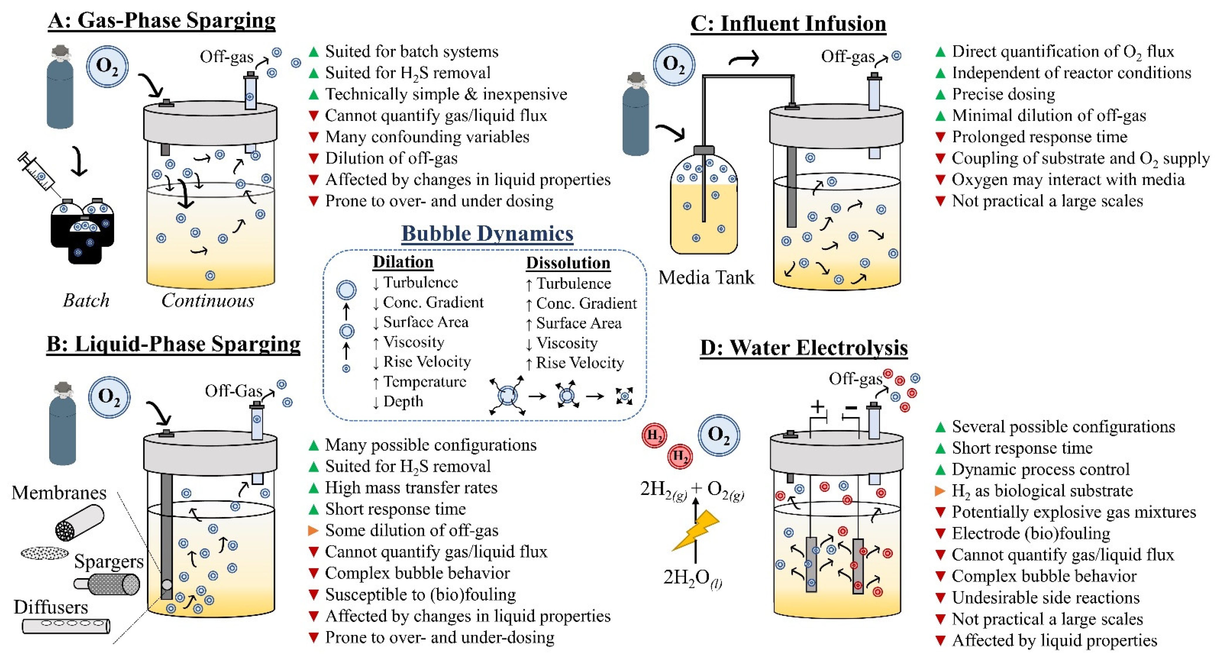 Fermentation 08 00138 g003