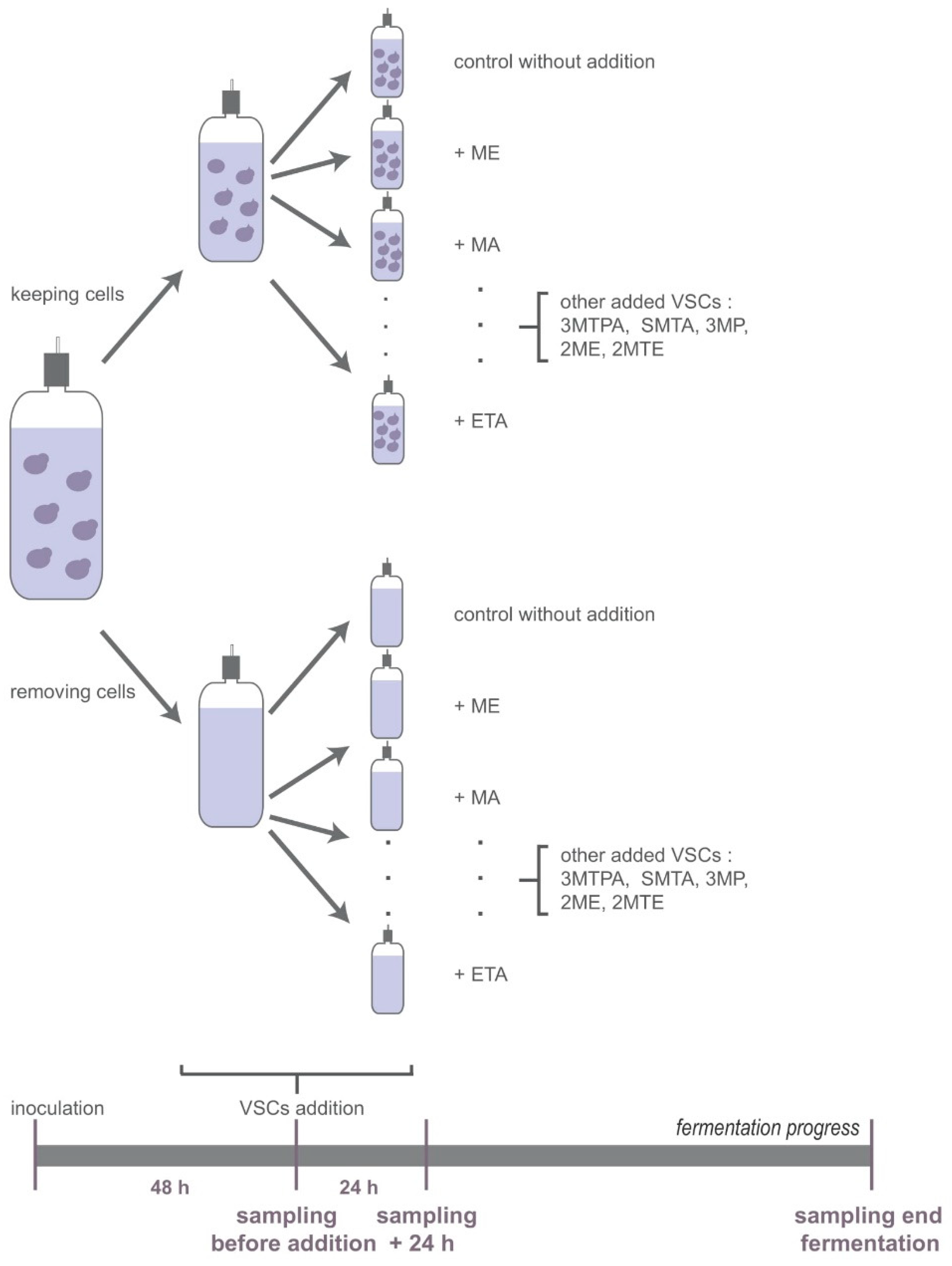 Fermentation 08 00139 g001 550