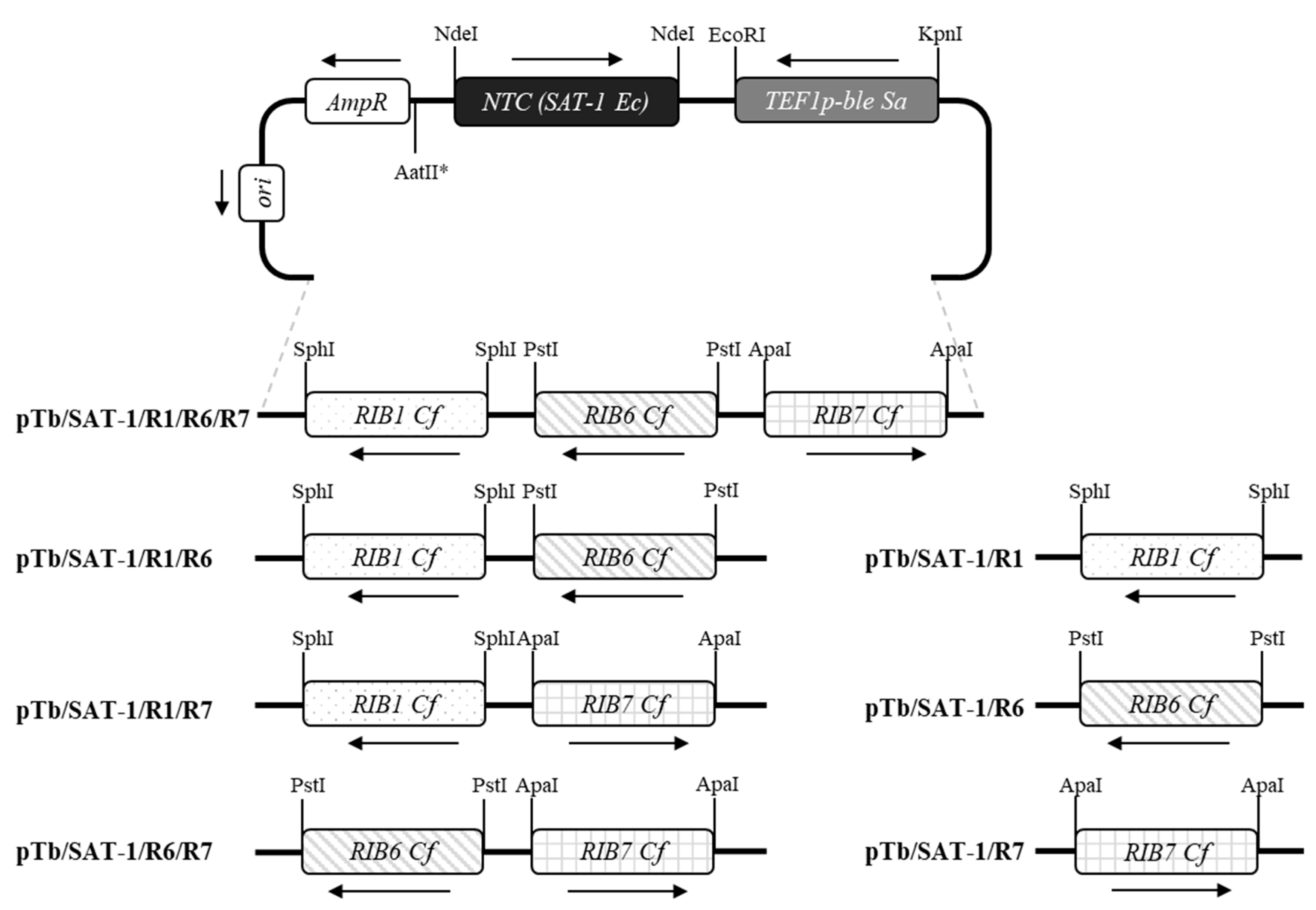 Fermentation 08 00141 g001