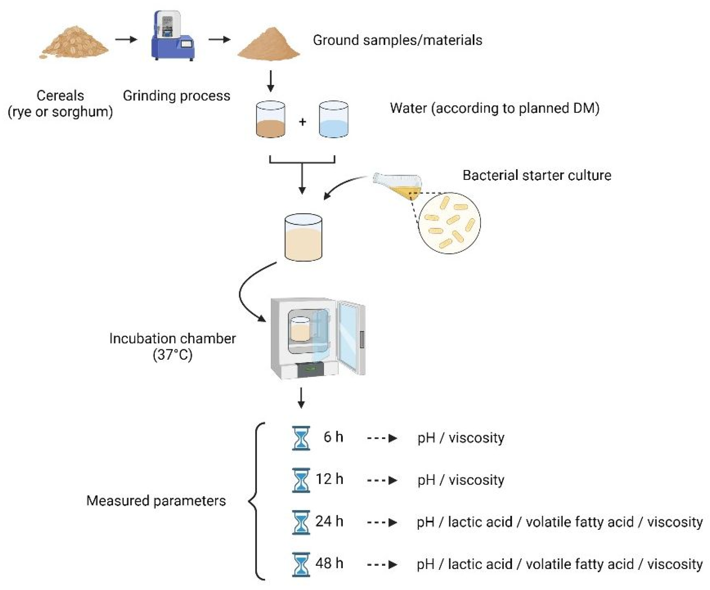 Fermentation 08 00155 g001
