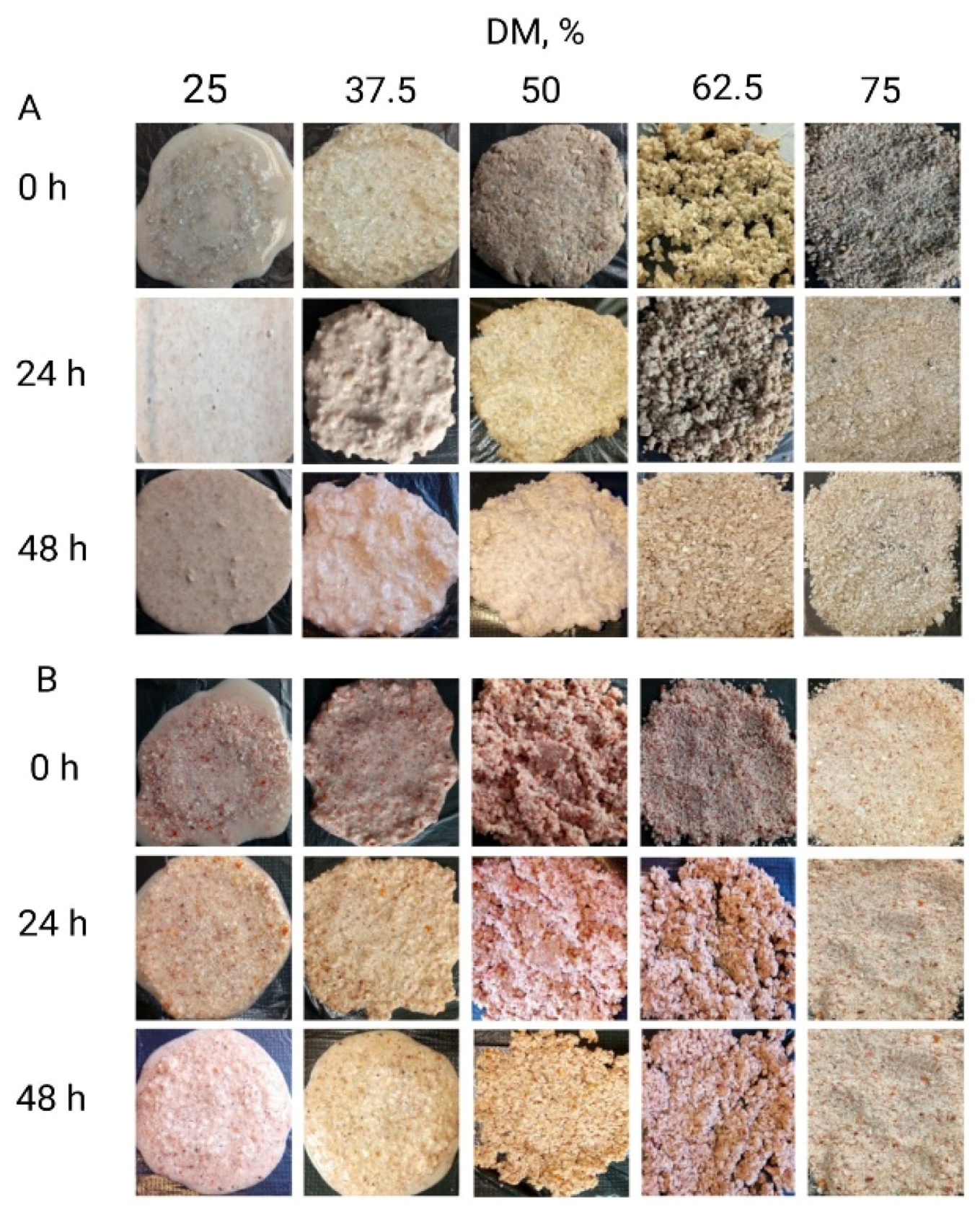Fermentation 08 00155 g002