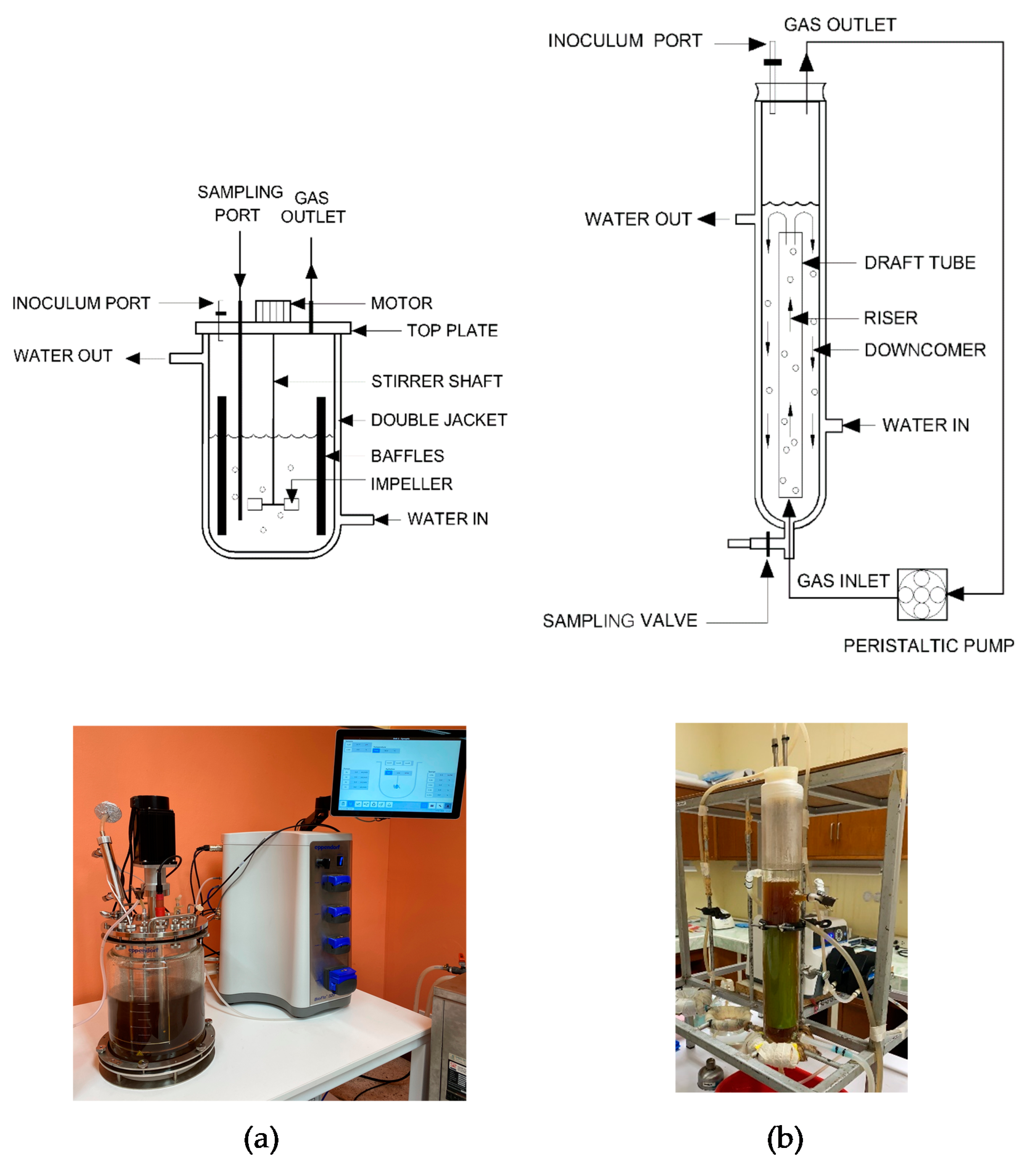 Fermentation 08 00160 g001
