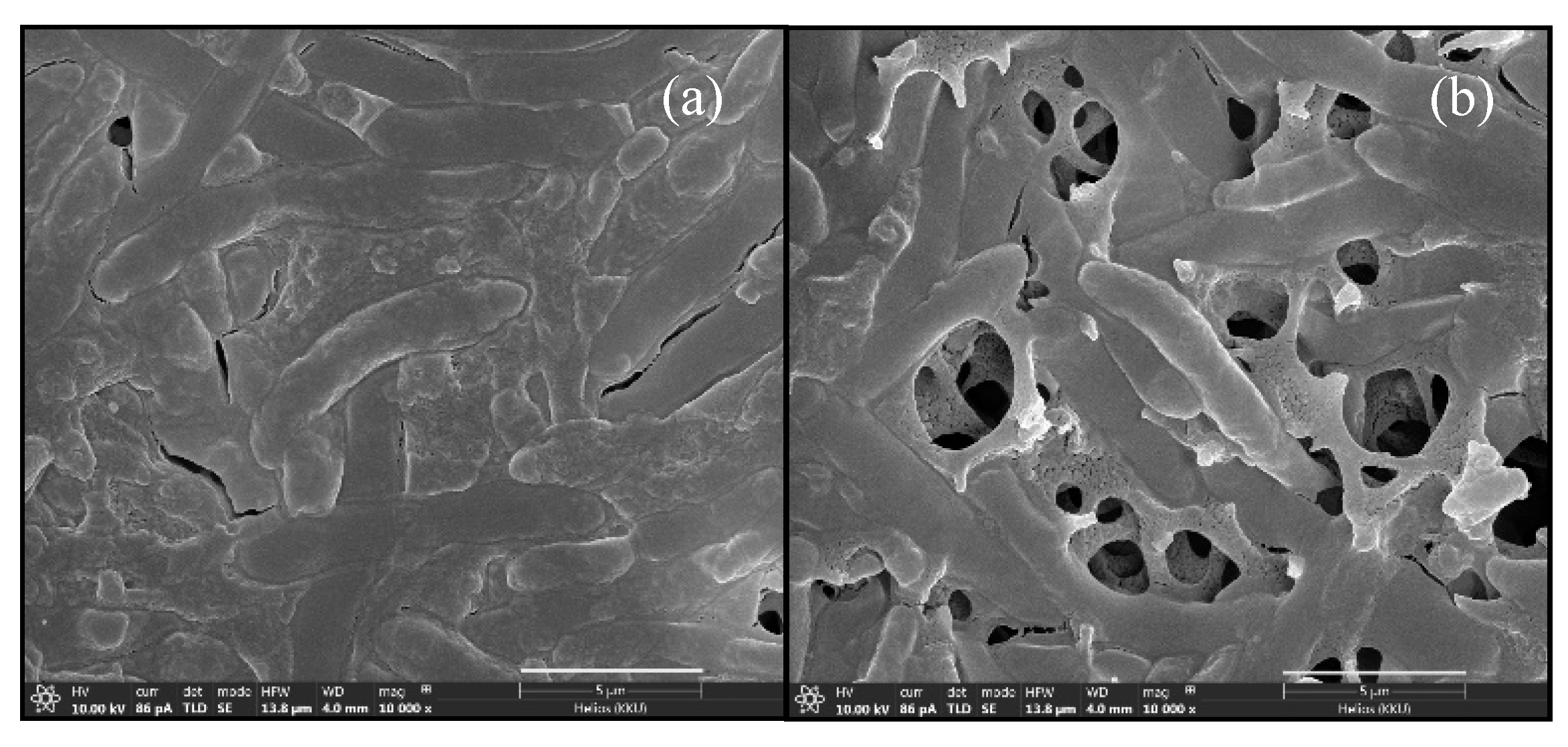 Fermentation 08 00160 g005