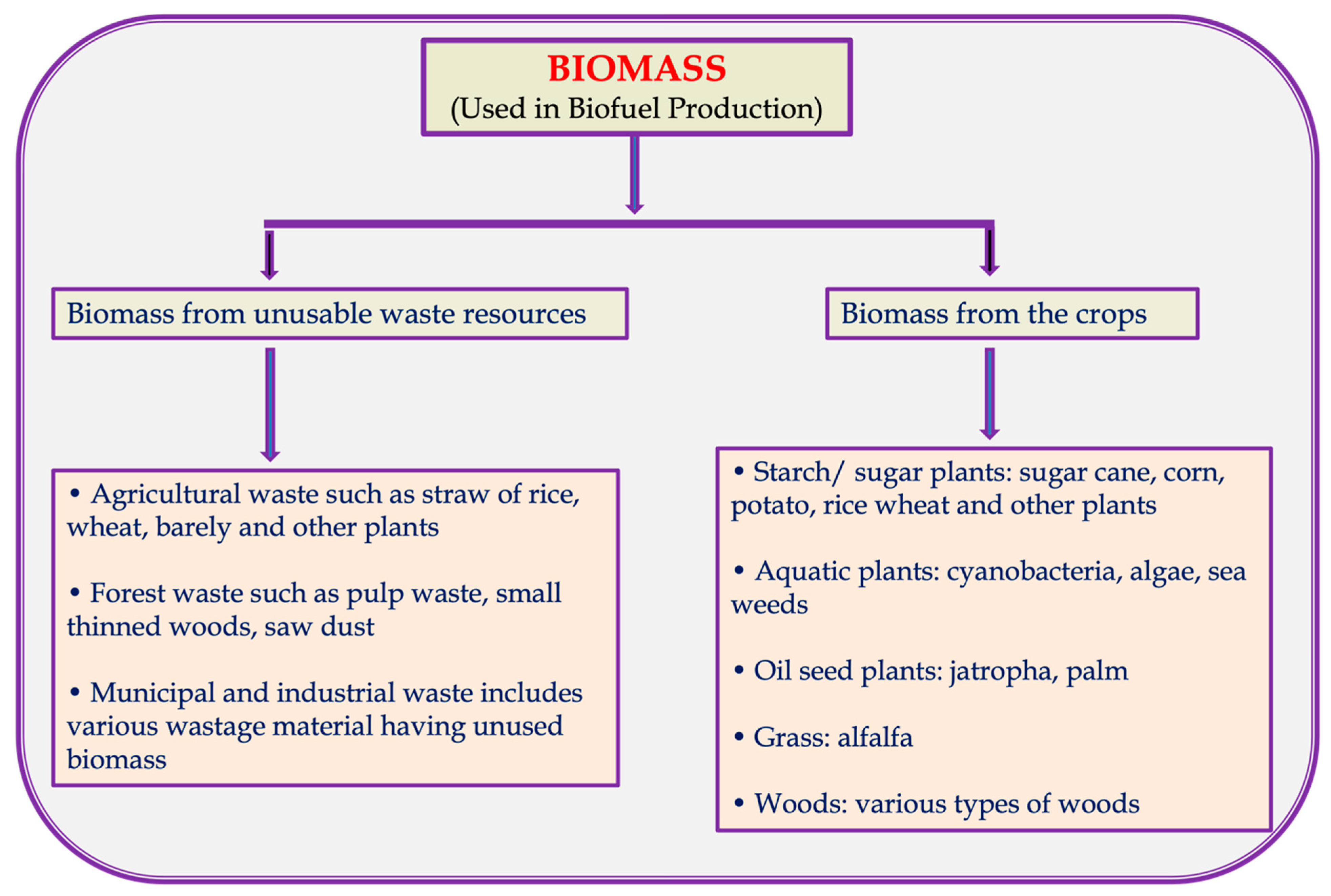 Fermentation 08 00161 g002 550