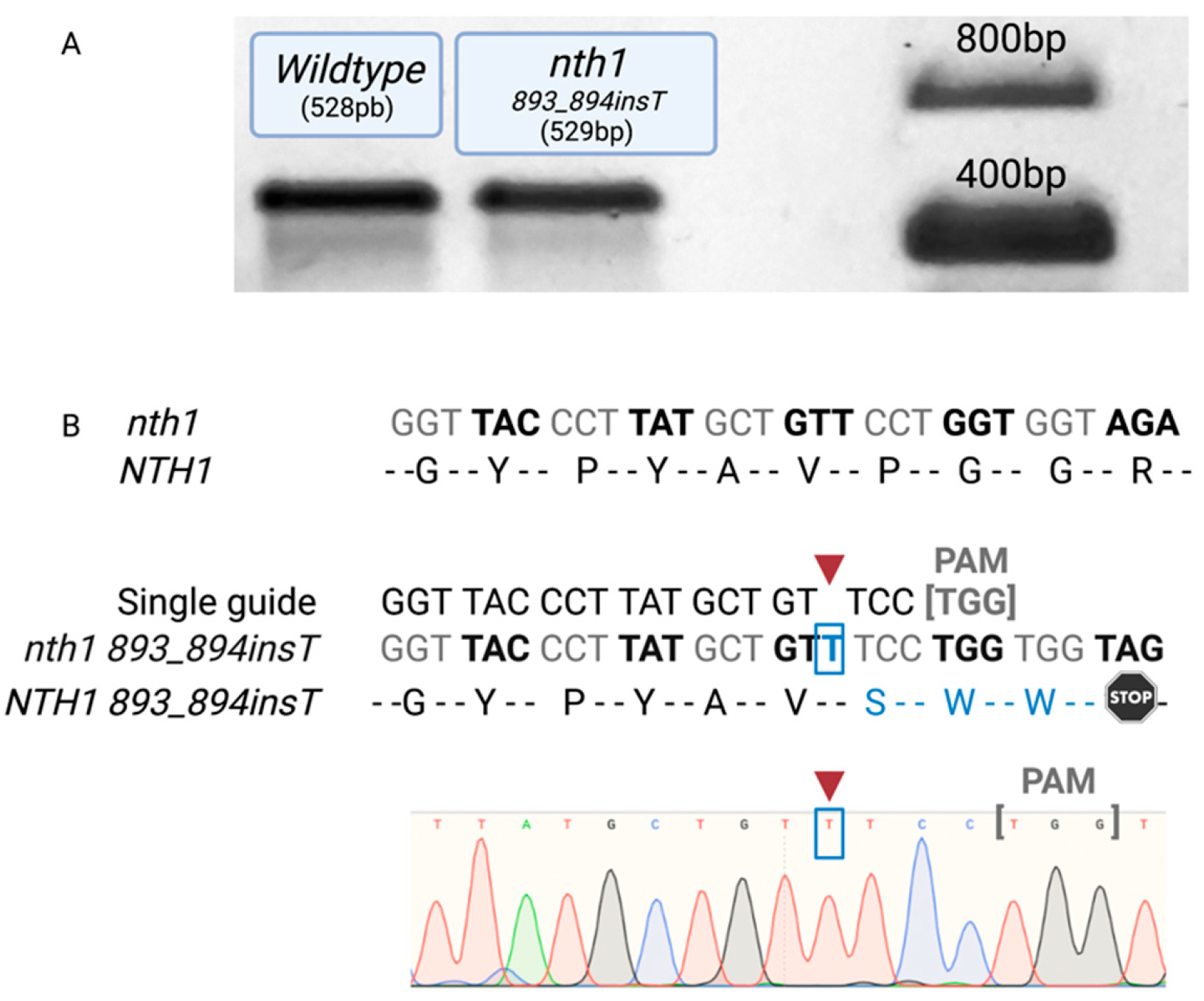 Fermentation 08 00166 g002 Fermentation 08 00166 g002