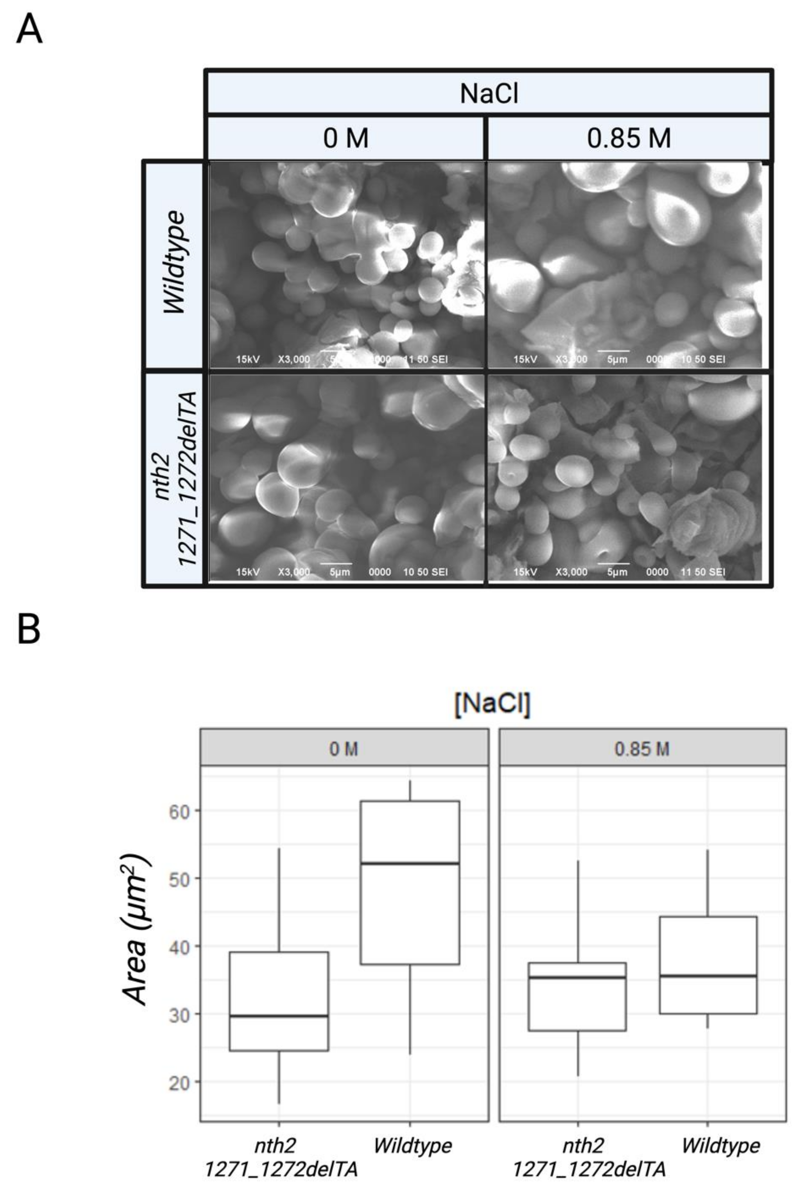 Fermentation 08 00166 g003 Fermentation 08 00166 g003
