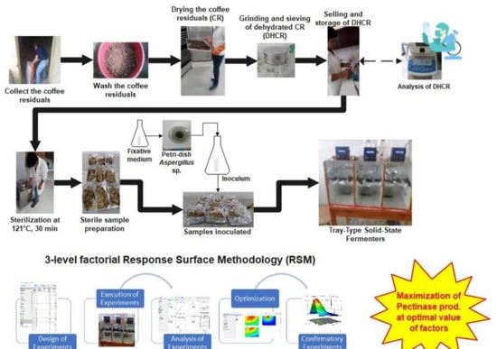 Fermentation | Free Full-Text | Multi-Objective Statistical ...