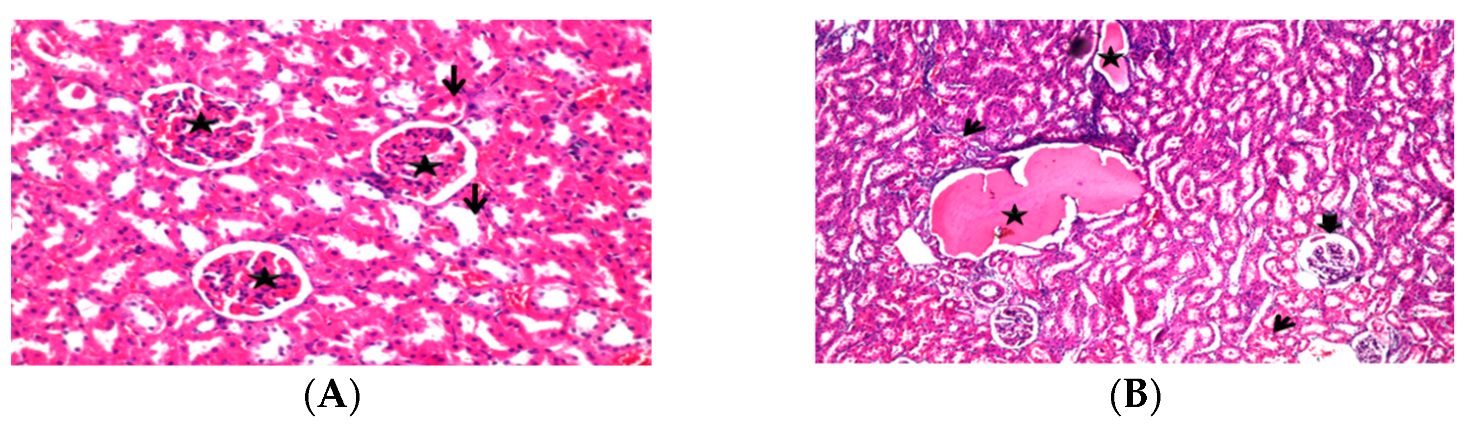 Fermentation 08 00171 g004a