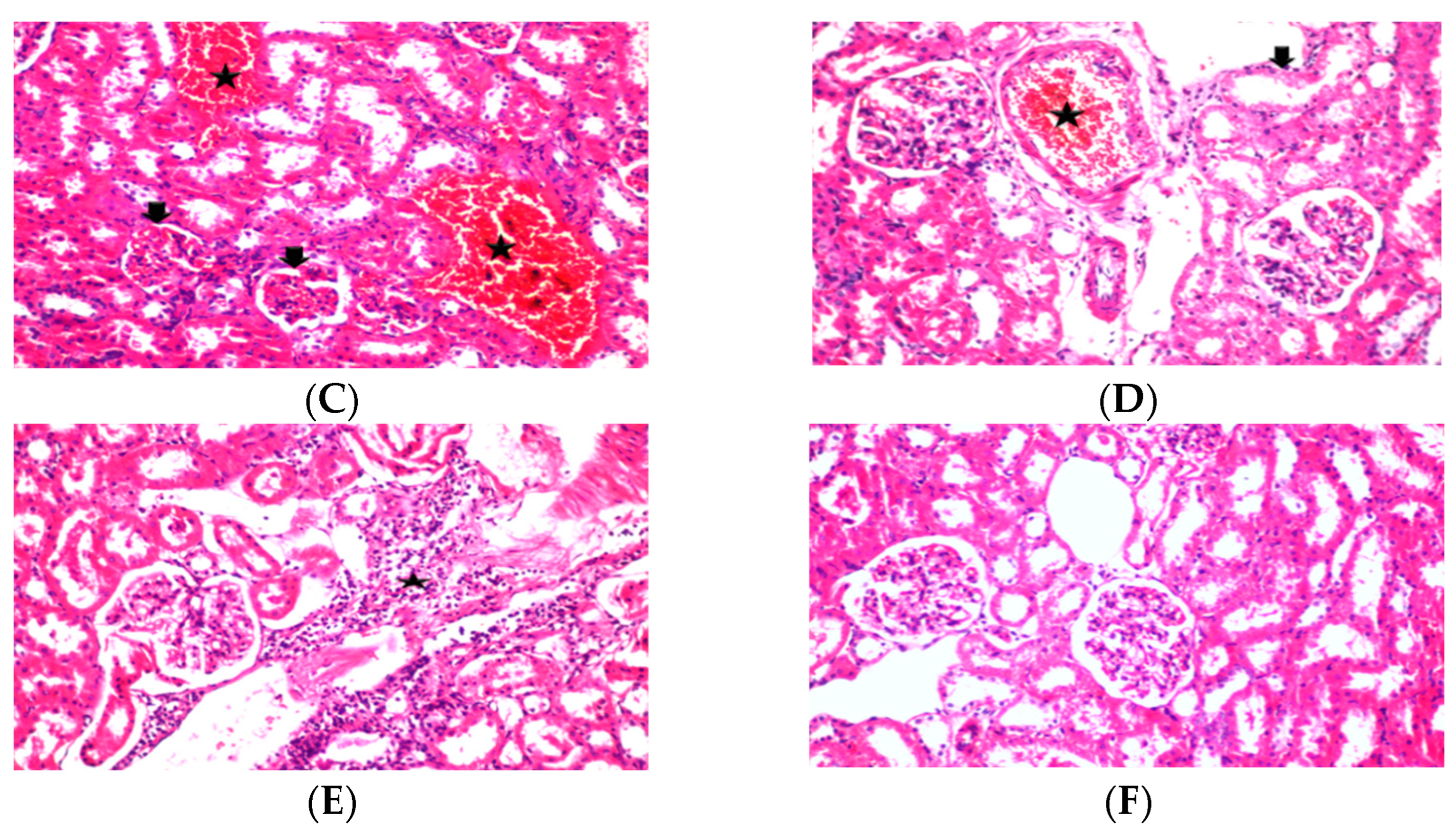 Fermentation 08 00171 g004b