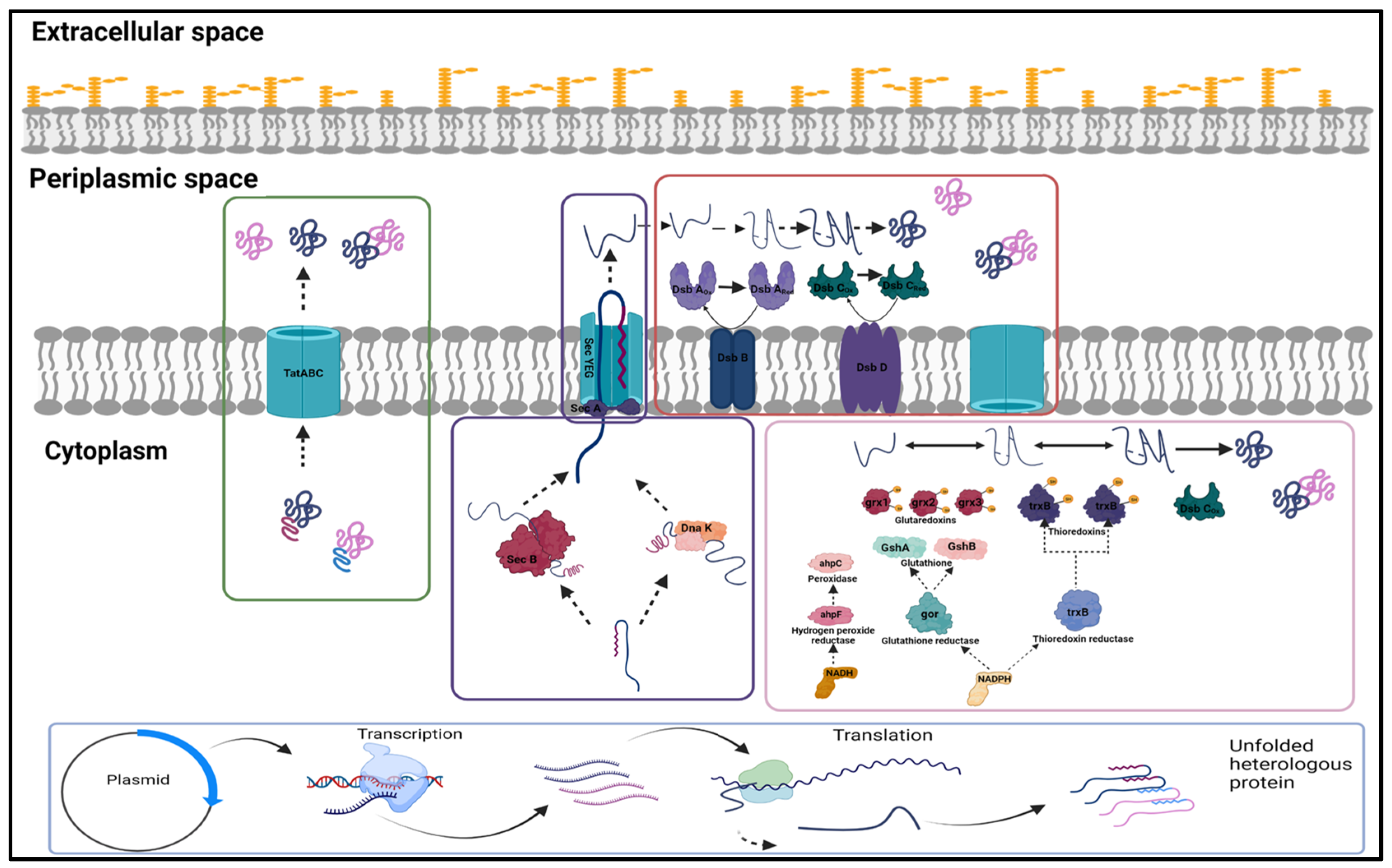 Fermentation 08 00175 g001 550