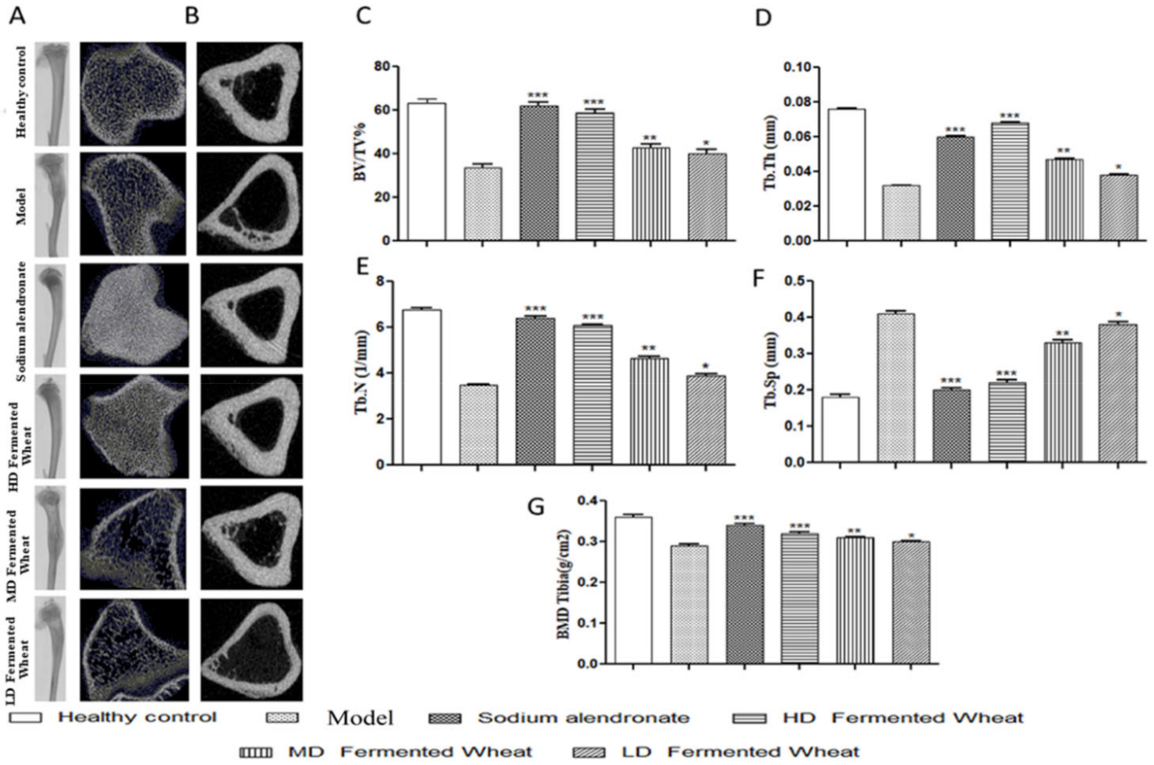 Fermentation 08 00182 g009