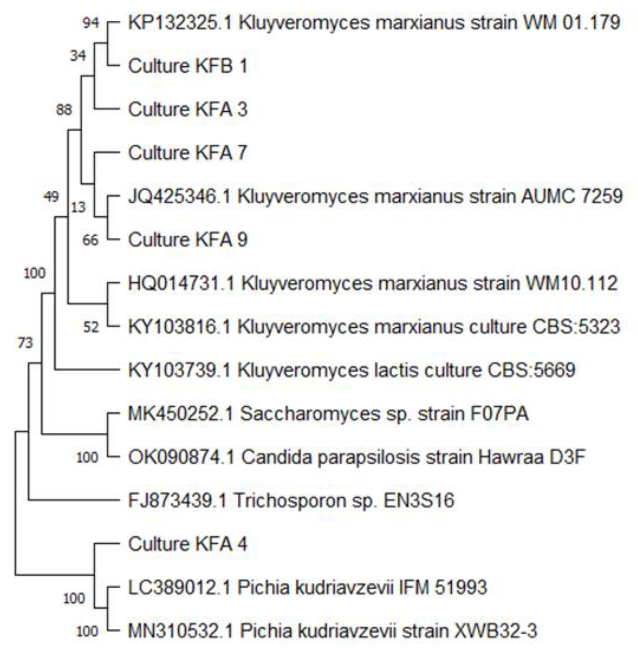 Fermentation 08 00183 g001 Fermentation 08 00183 g001