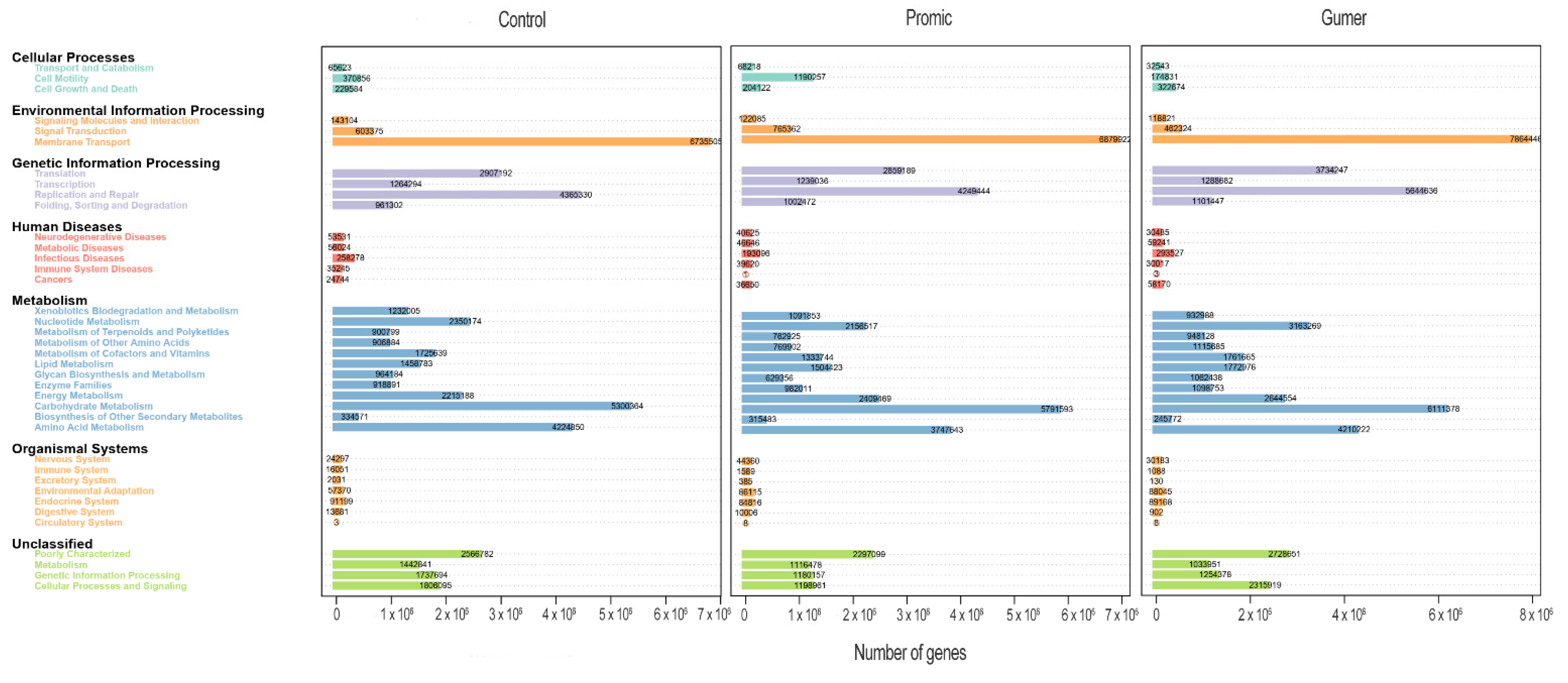 Fermentation 08 00194 g008 Fermentation 08 00194 g008