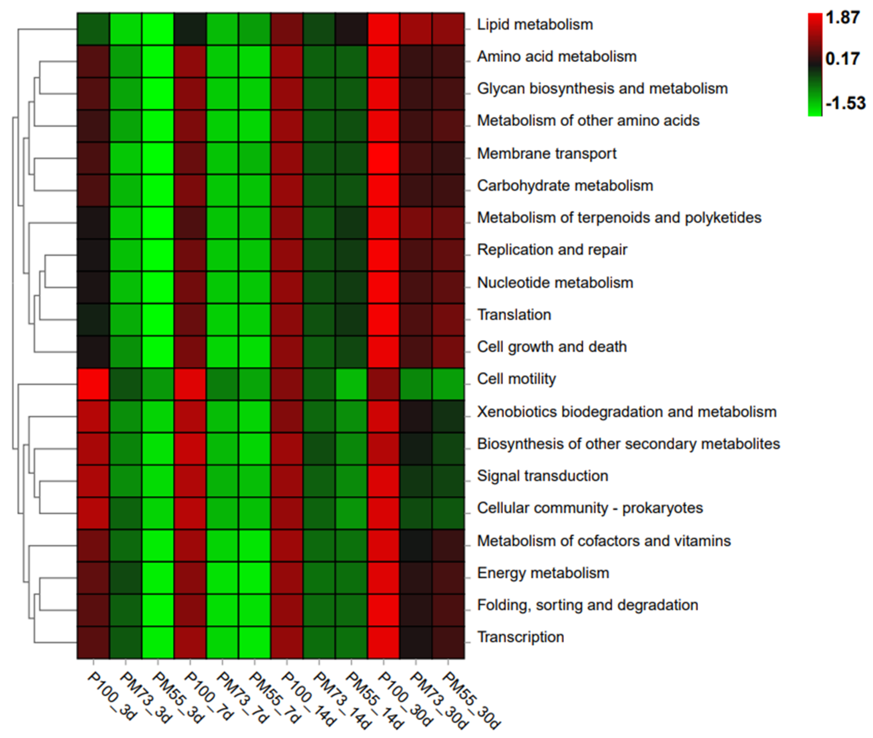 Fermentation 08 00197 g004