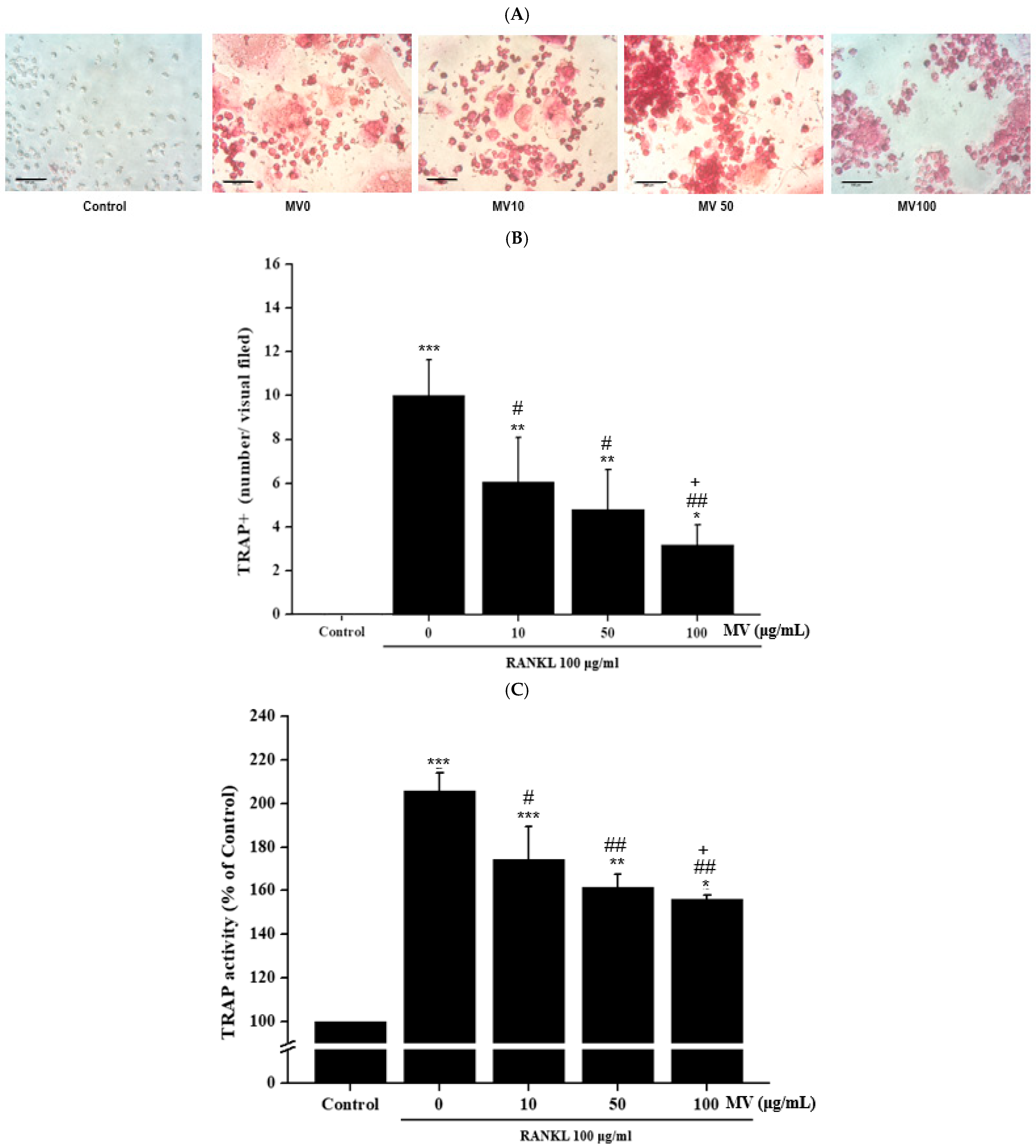 Fermentation 08 00211 g003 550