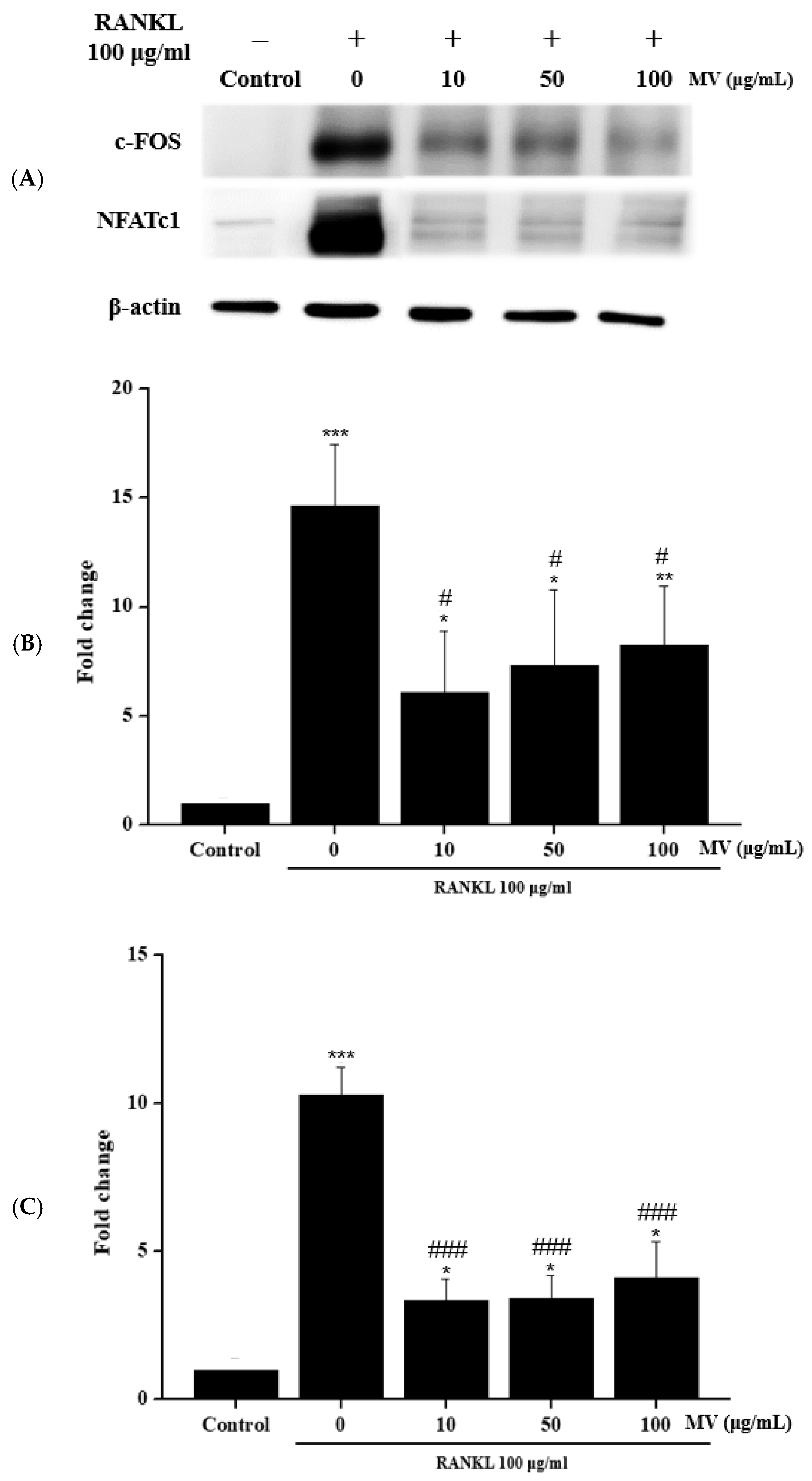 Fermentation 08 00211 g005 550