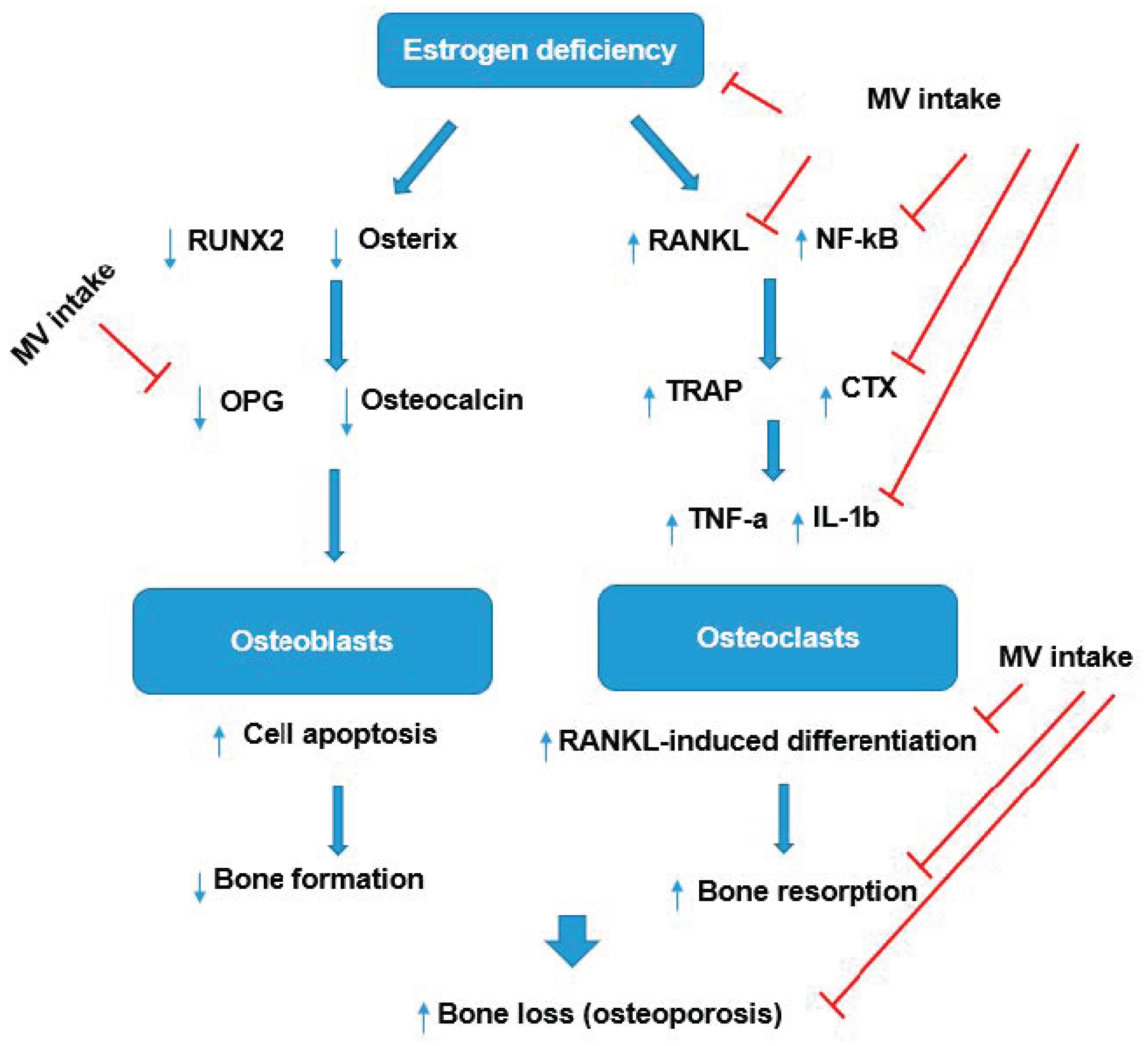 Fermentation 08 00211 g006 550