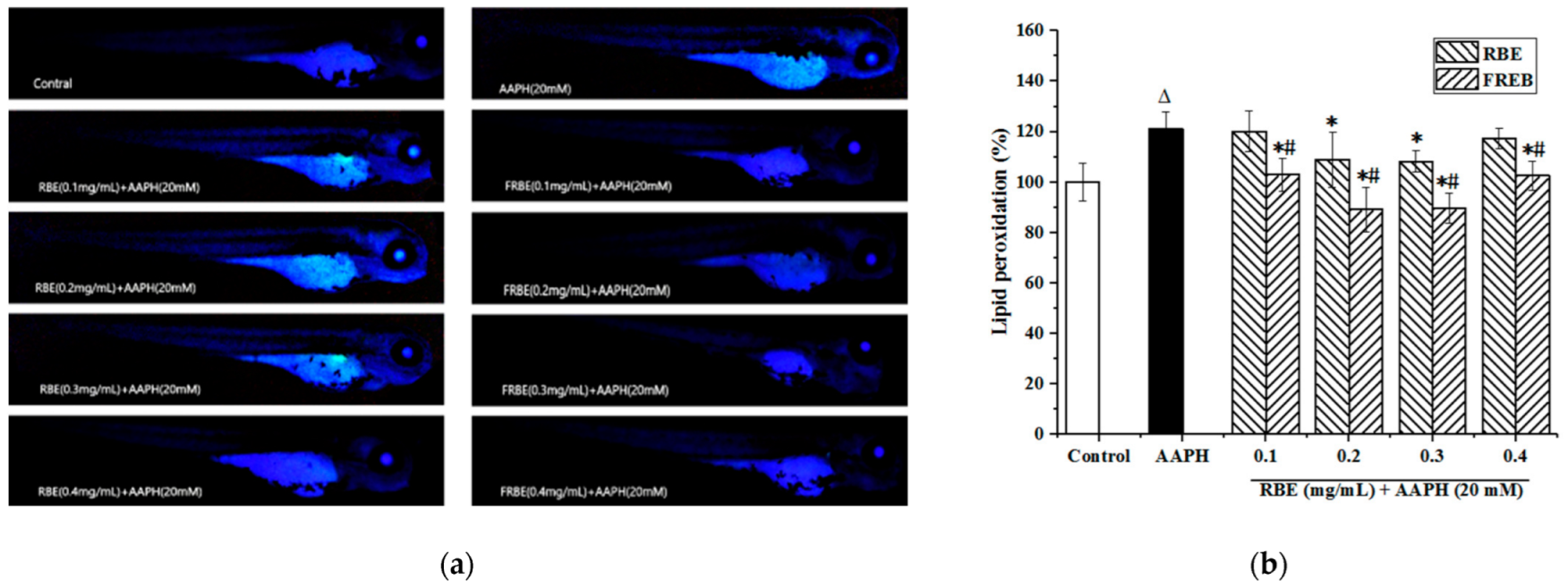 Fermentation 08 00212 g003
