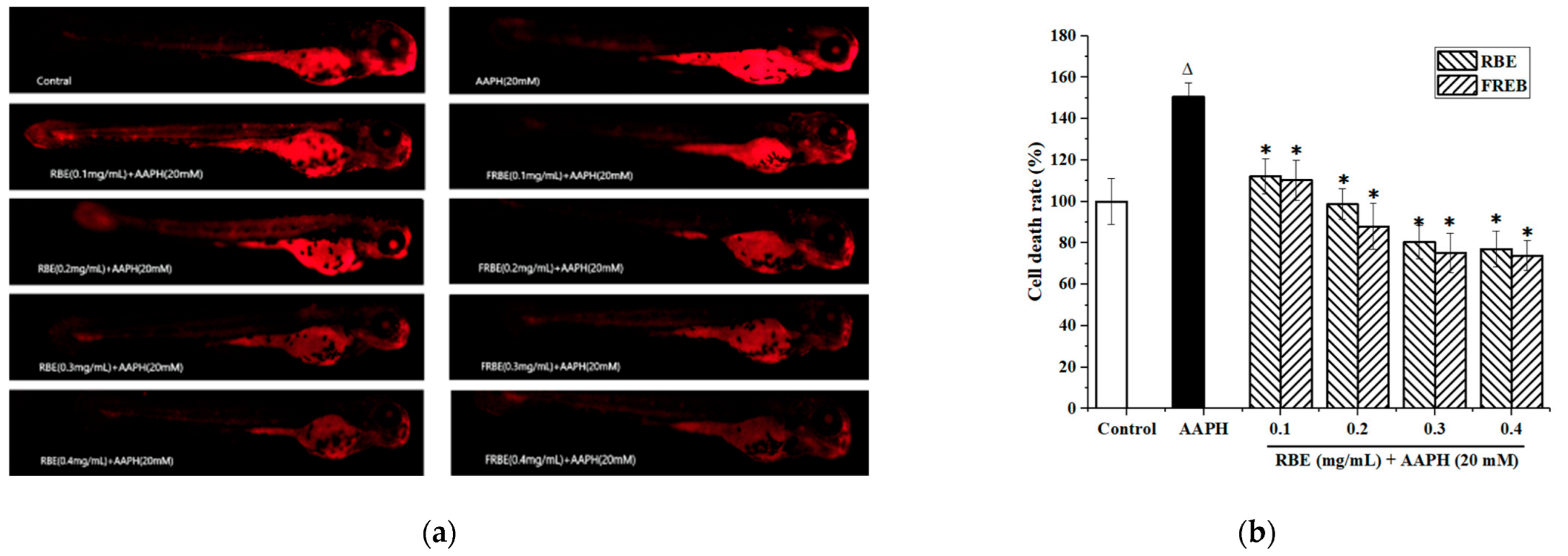 Fermentation 08 00212 g004