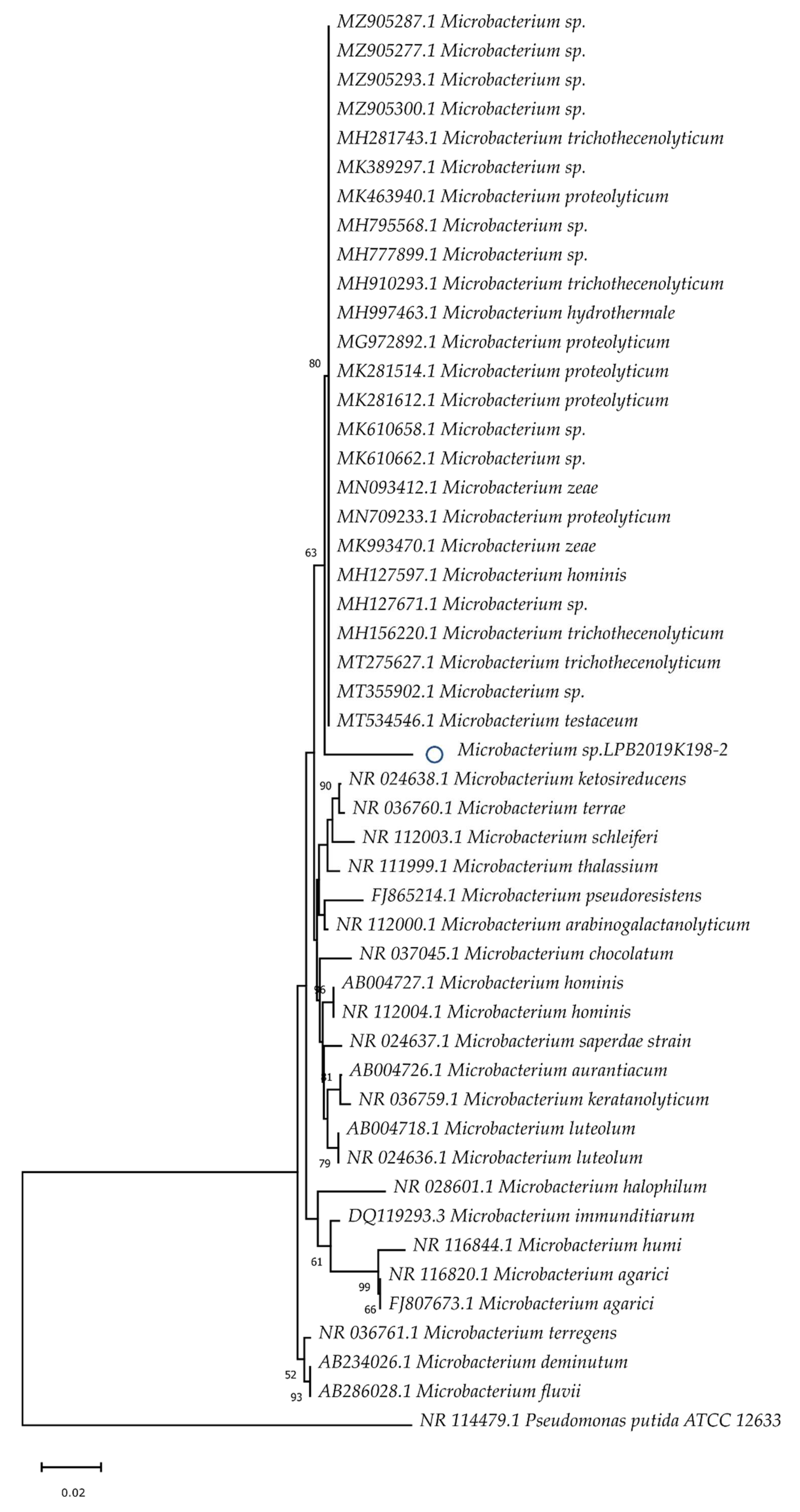Fermentation 08 00213 g001 Fermentation 08 00213 g001