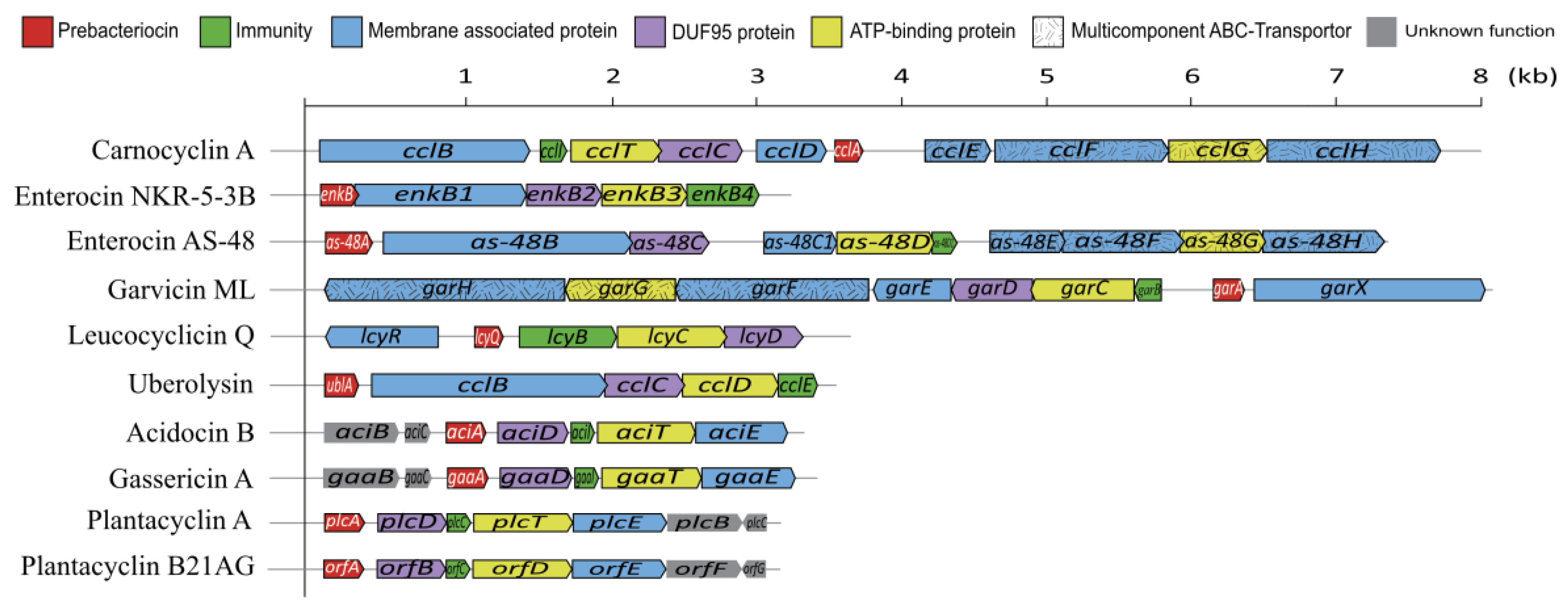 Fermentation 08 00217 g005