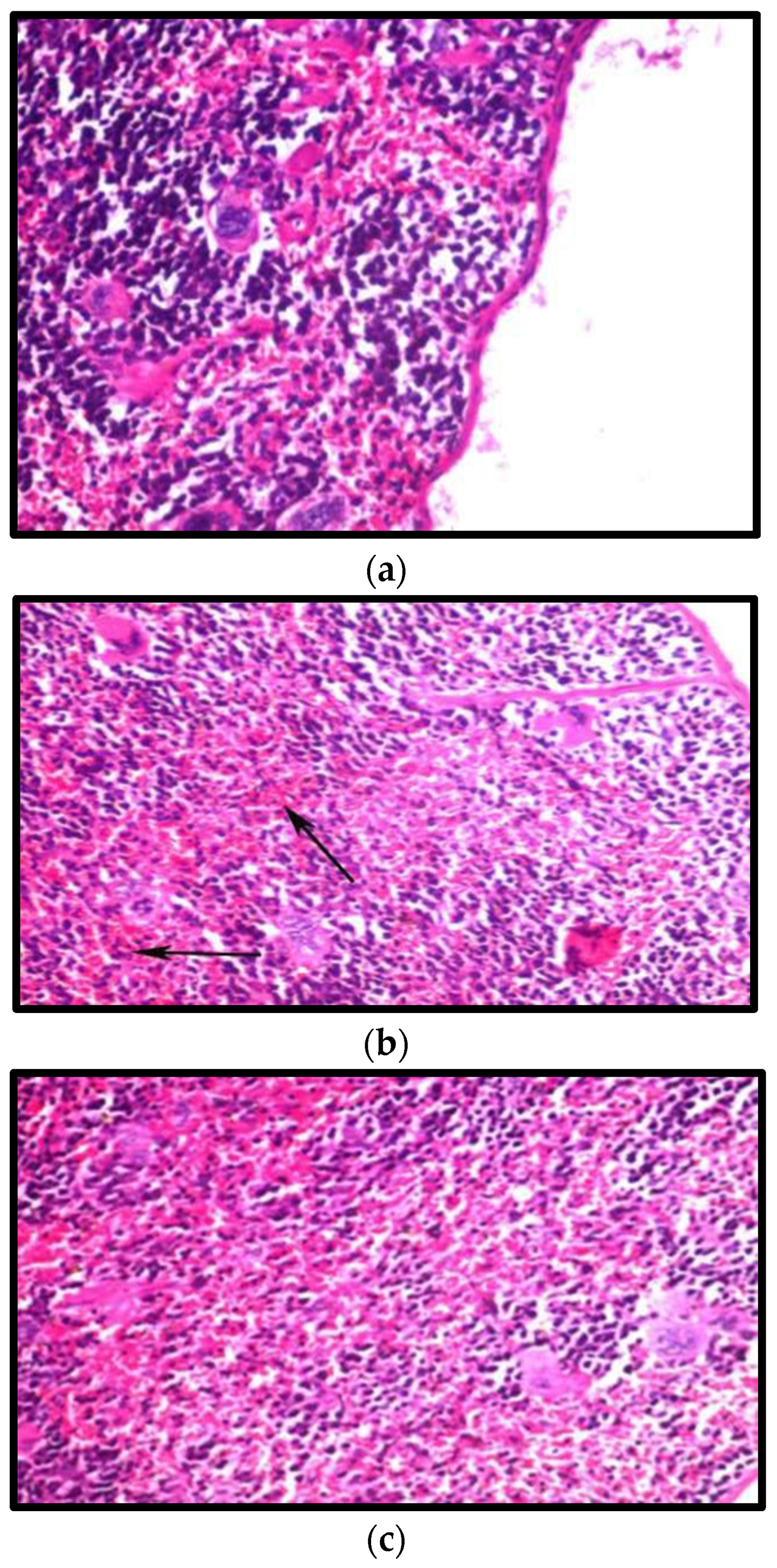Fermentation 08 00220 g007a