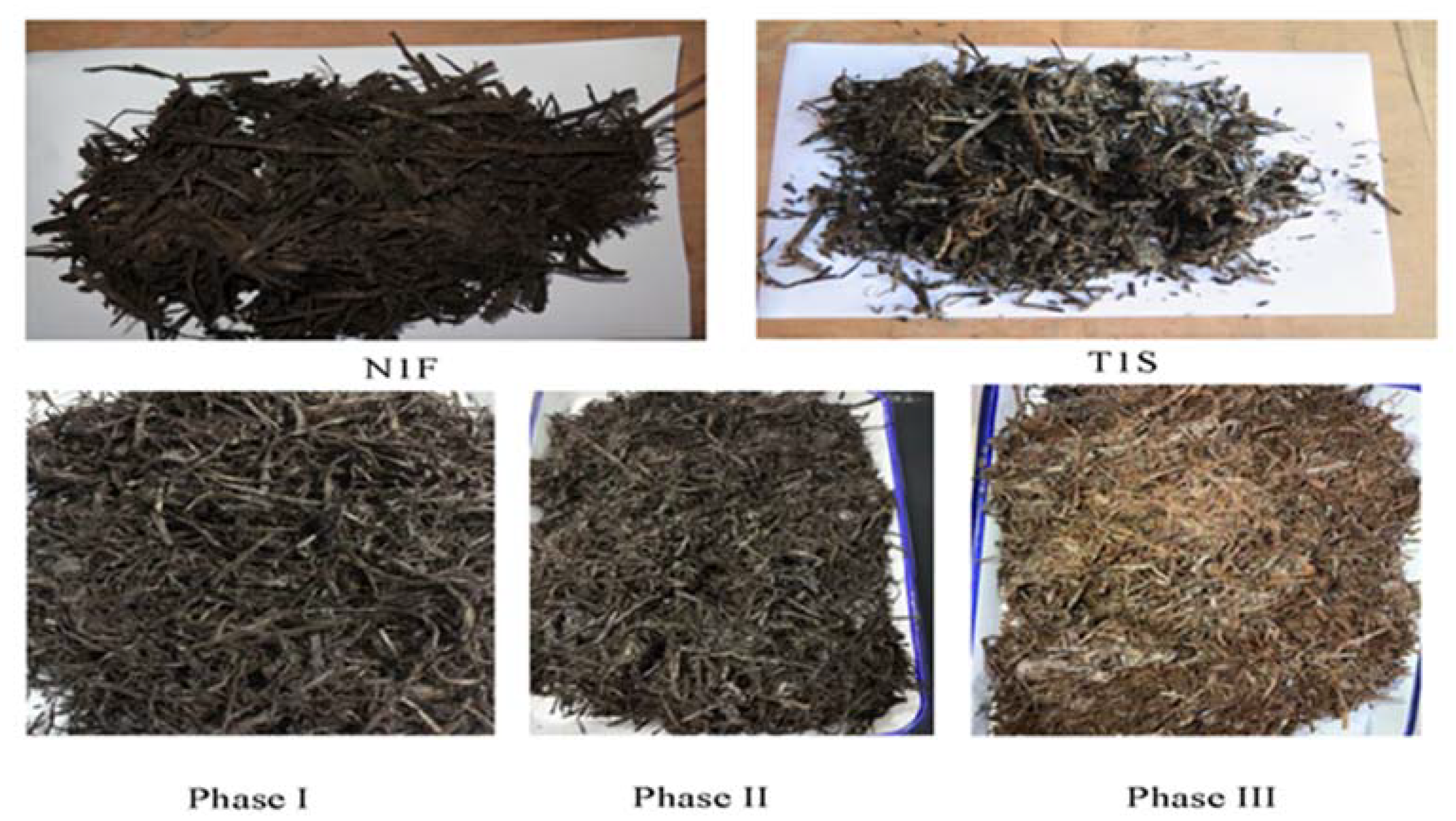 Fermentation 08 00222 g001