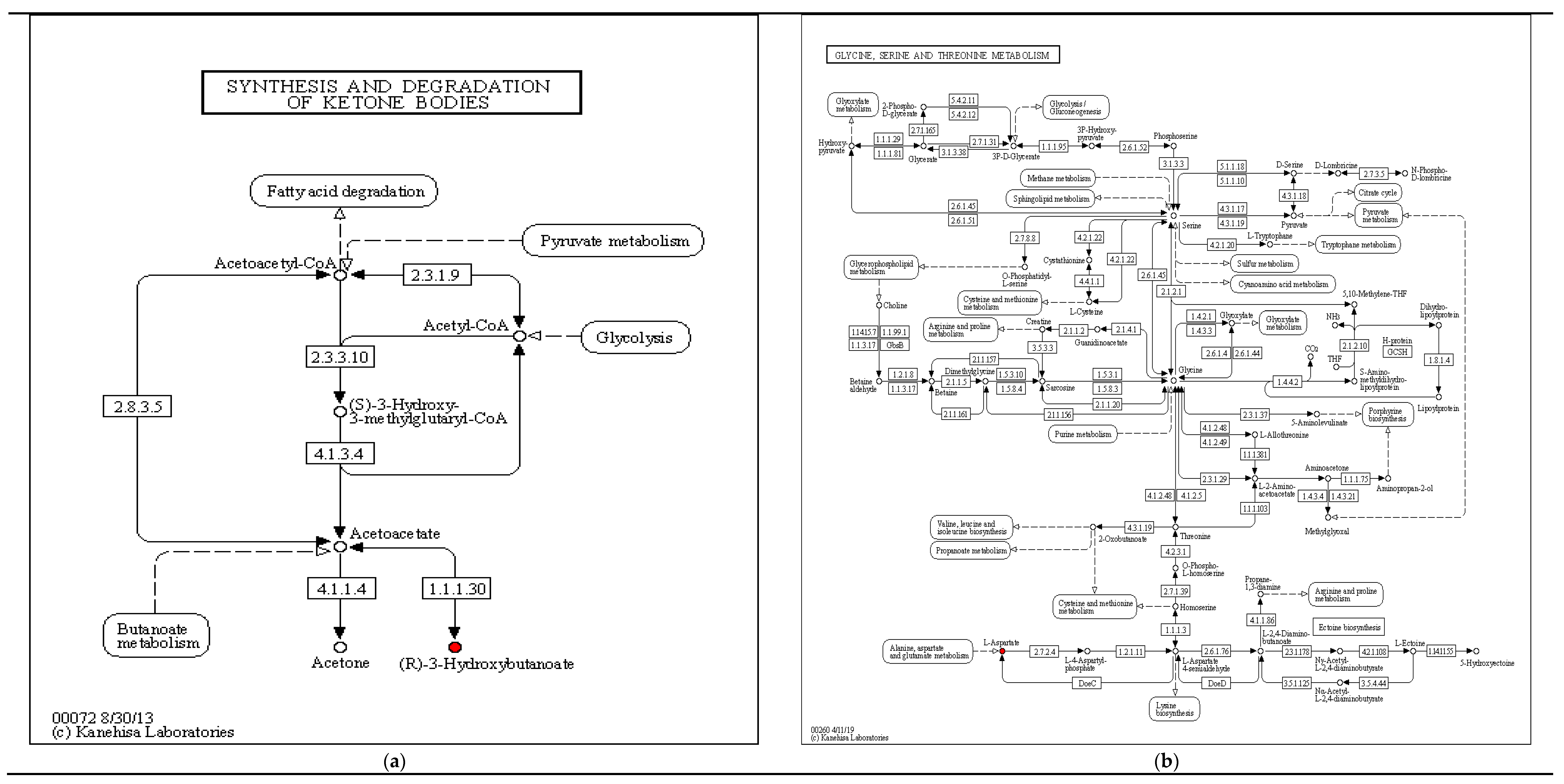 Fermentation 08 00222 g008a