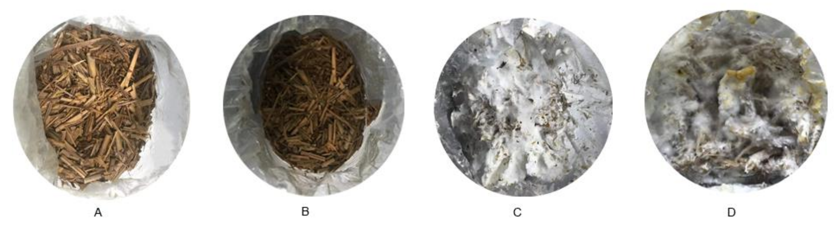 Fermentation 08 00228 g001