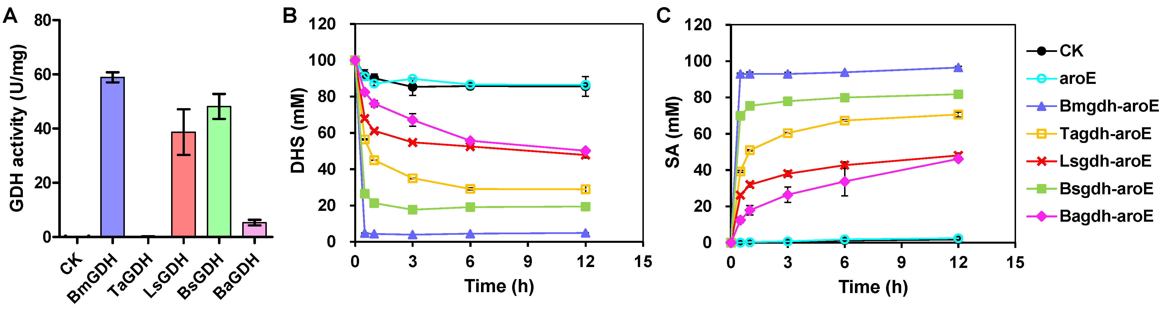 Fermentation 08 00229 g002