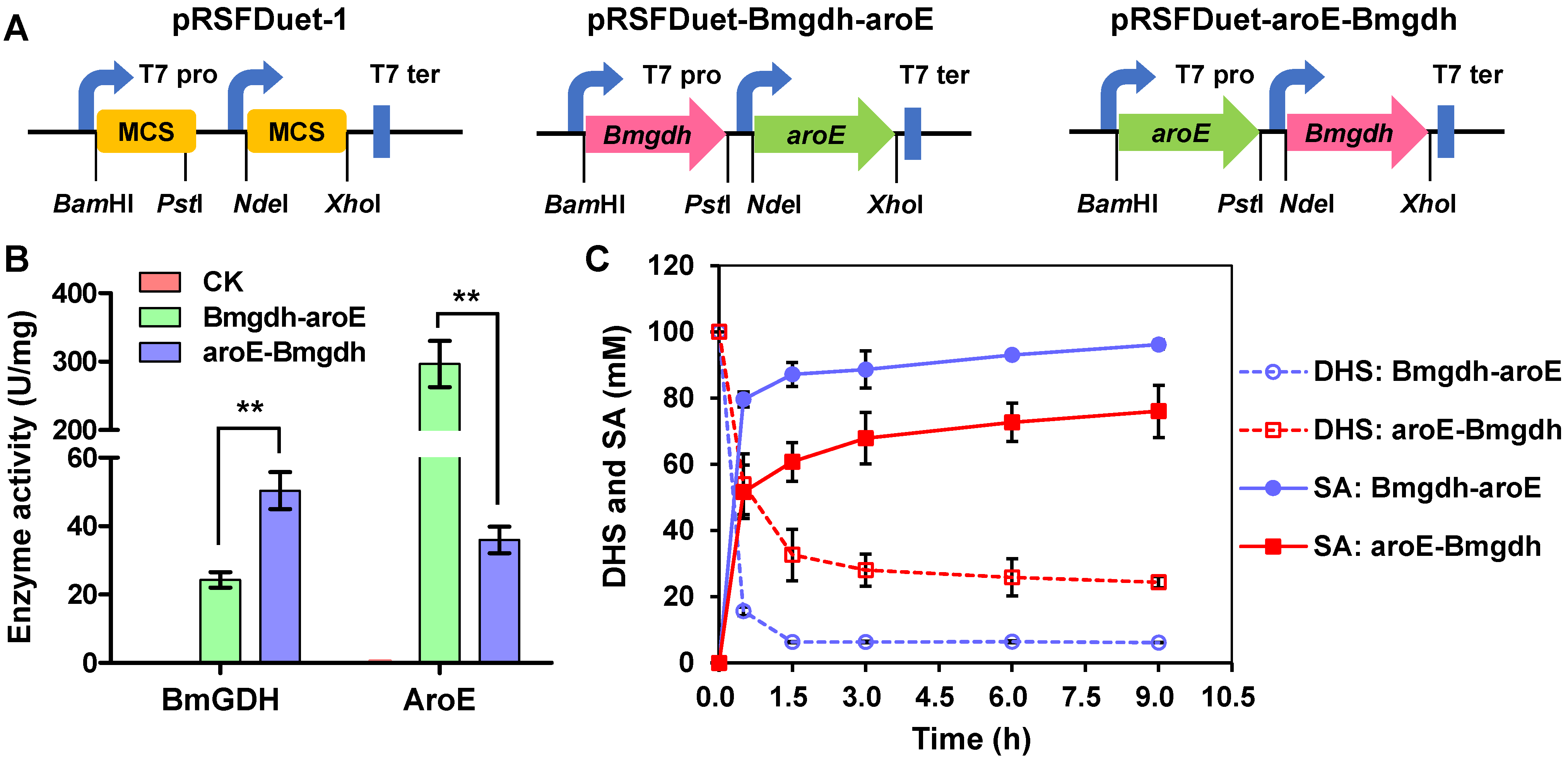 Fermentation 08 00229 g004