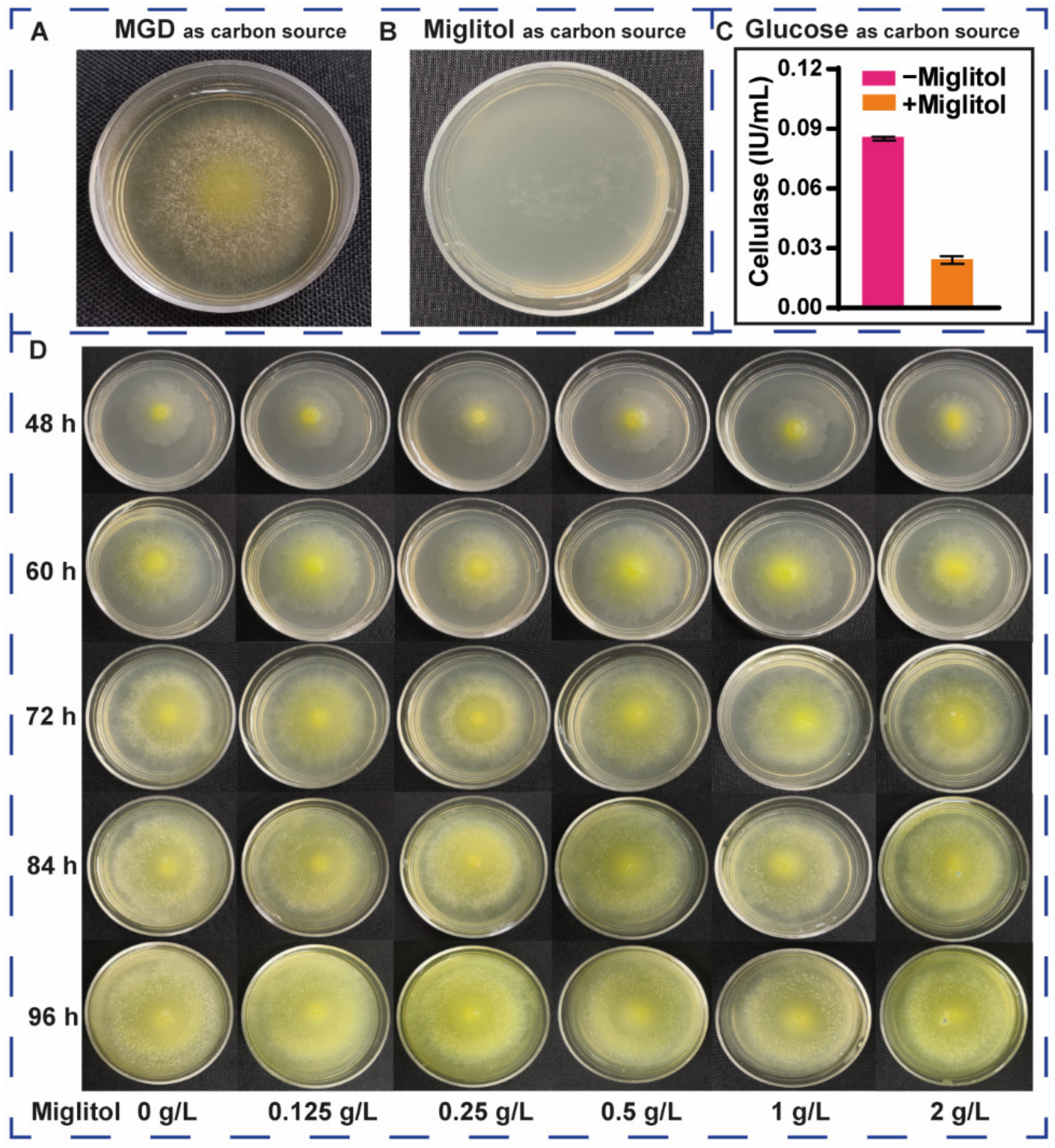 Fermentation 08 00232 g004 550
