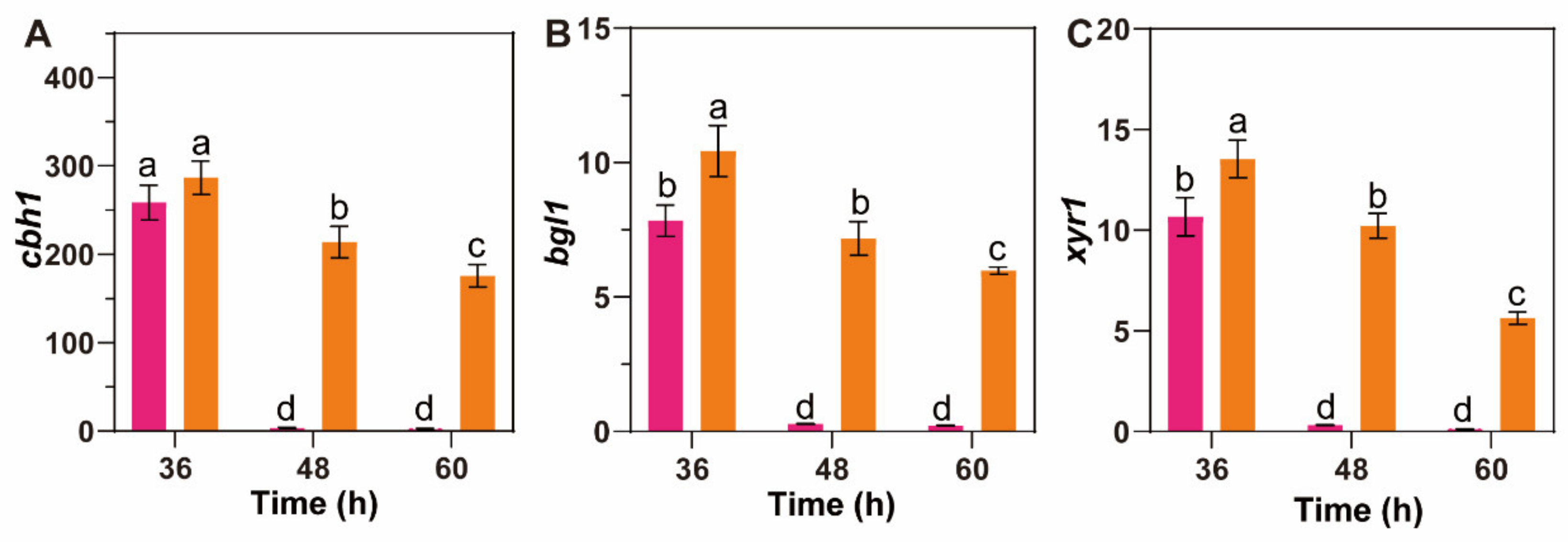 Fermentation 08 00232 g007 550