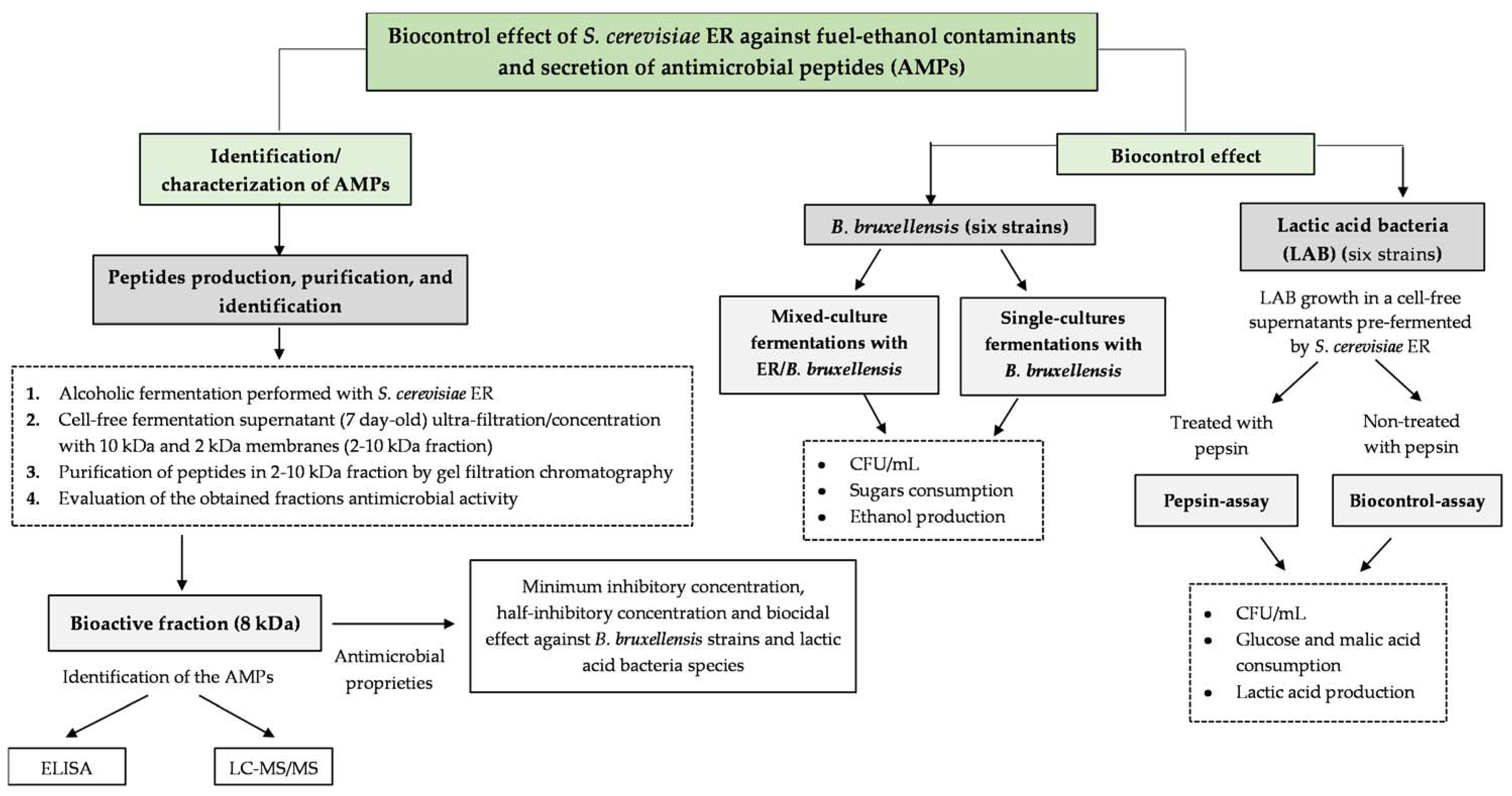 Fermentation 08 00233 i001 Fermentation 08 00233 i001