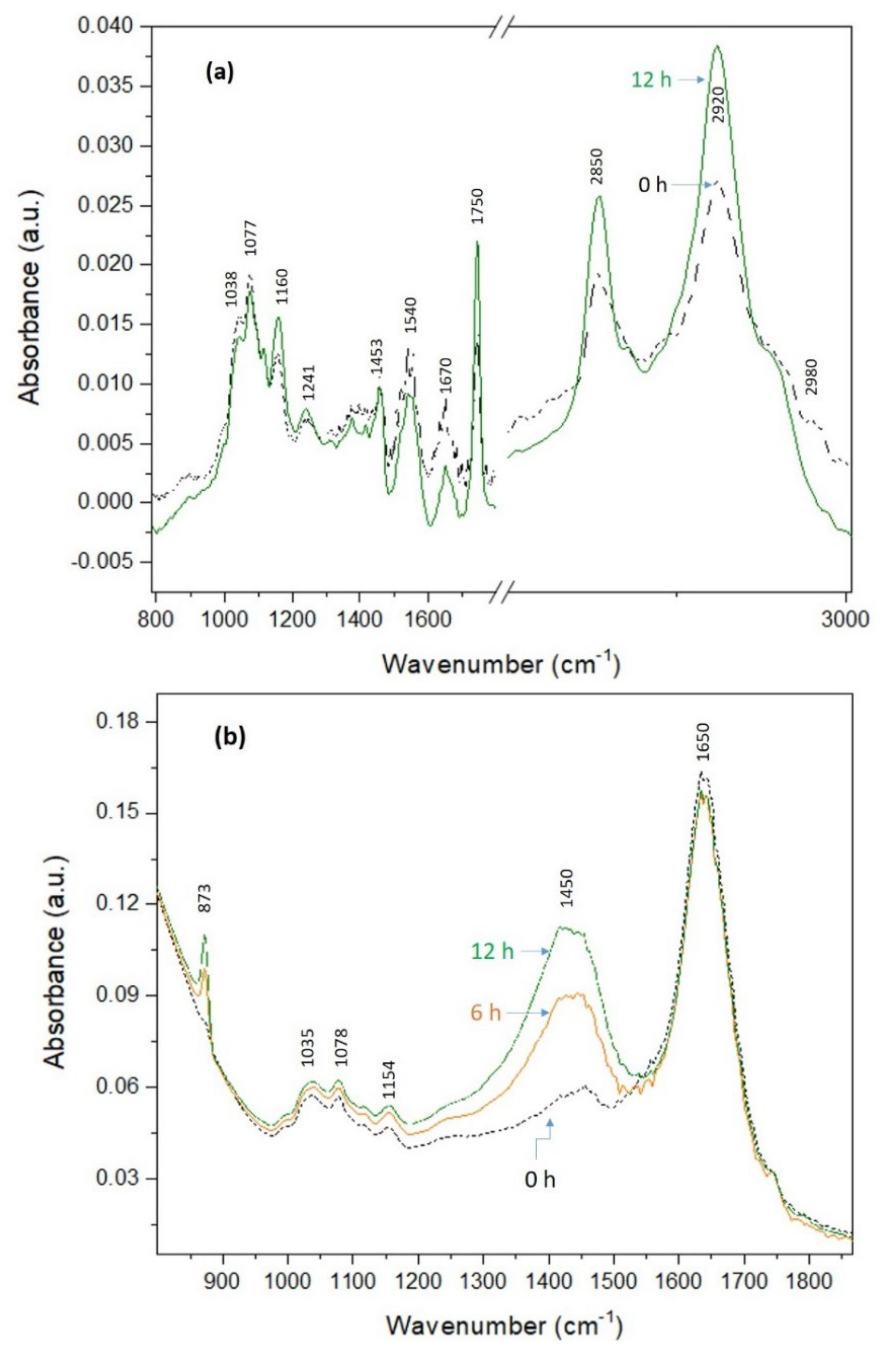Fermentation 08 00234 g003