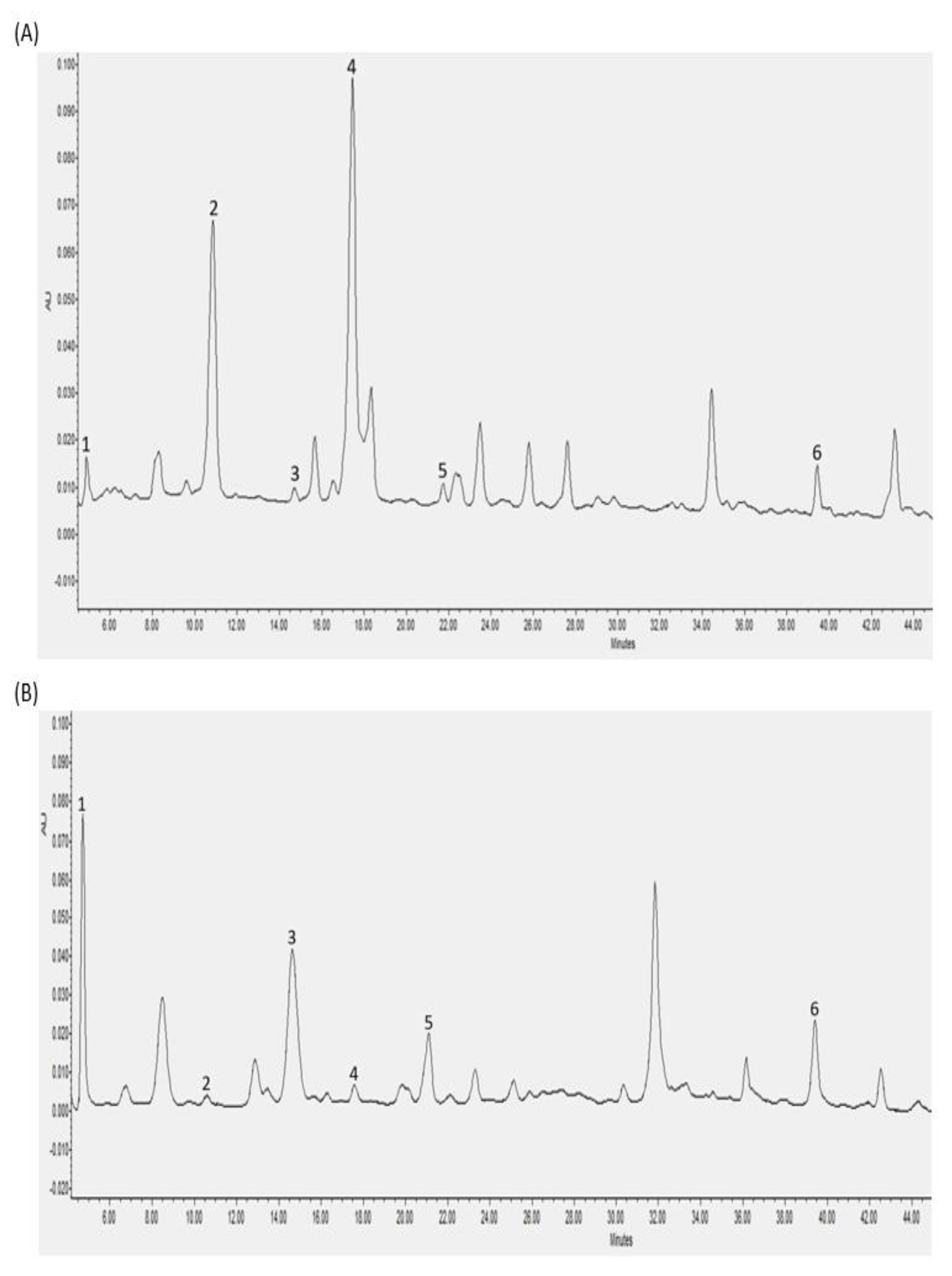 Fermentation 08 00237 g002