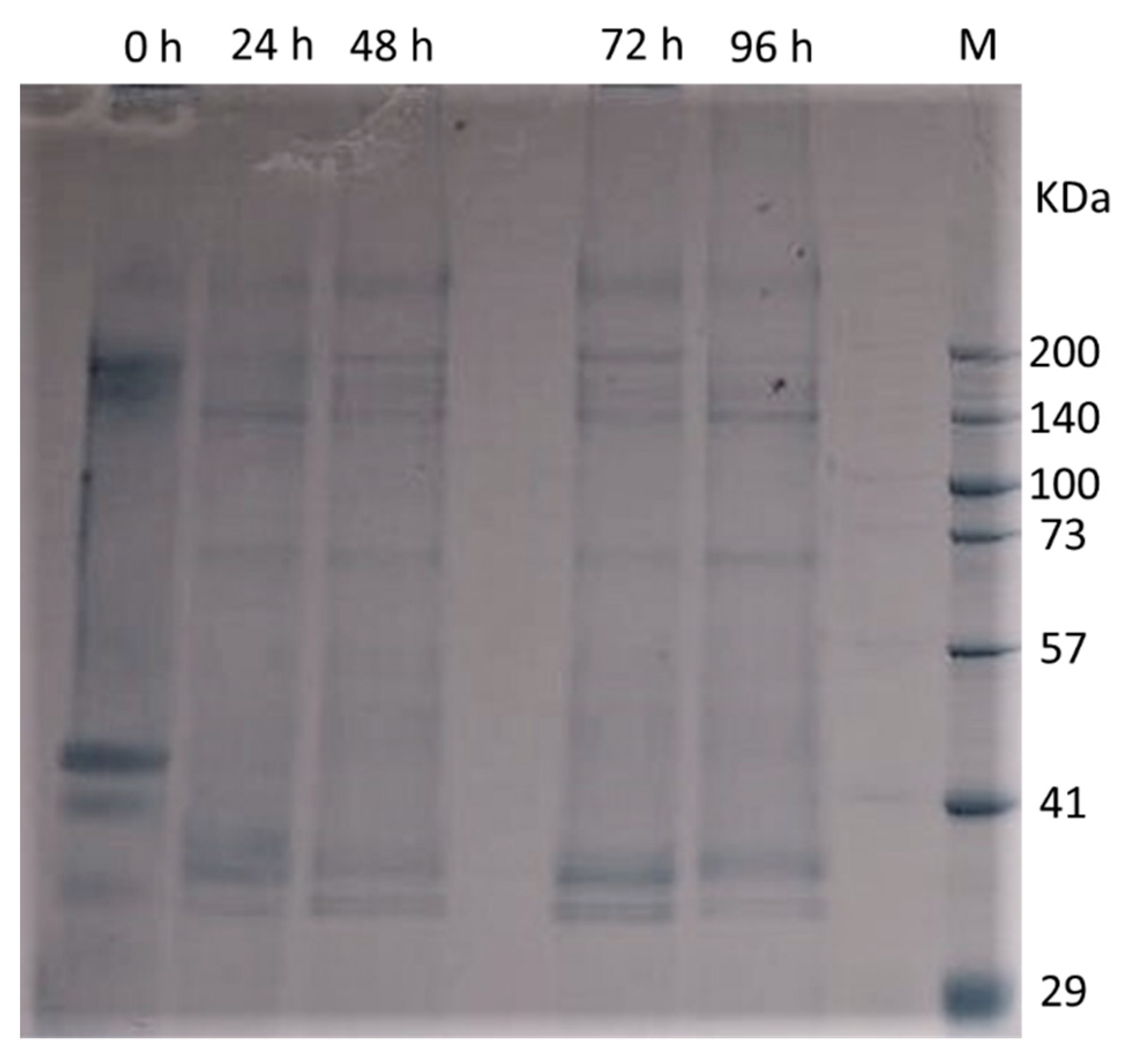 Fermentation 08 00238 g006