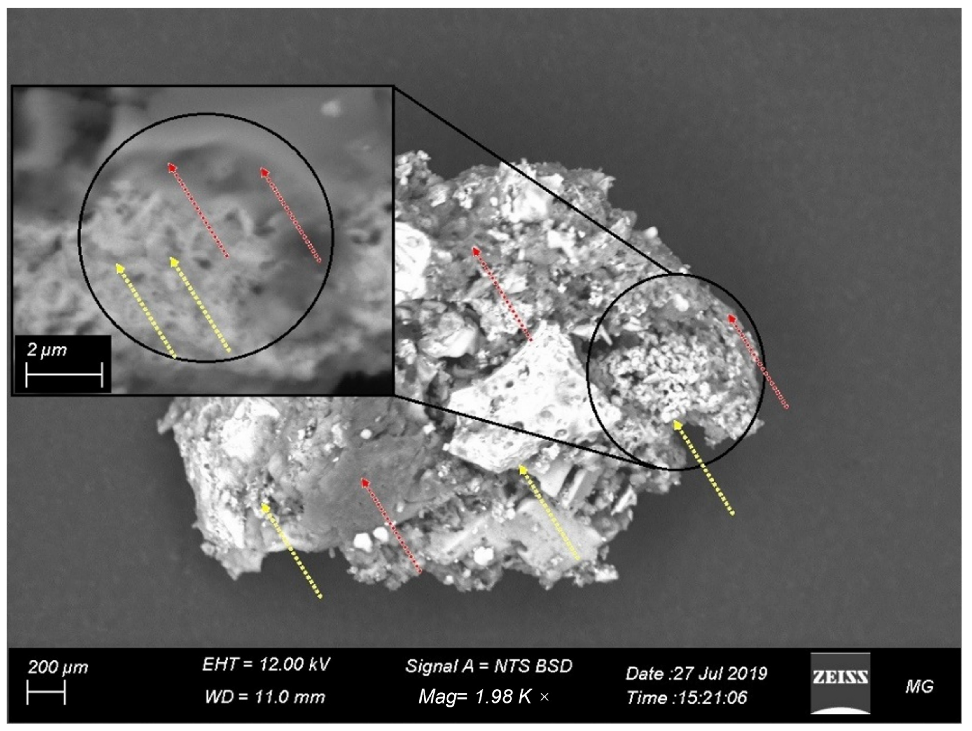 Fermentation 08 00241 g005