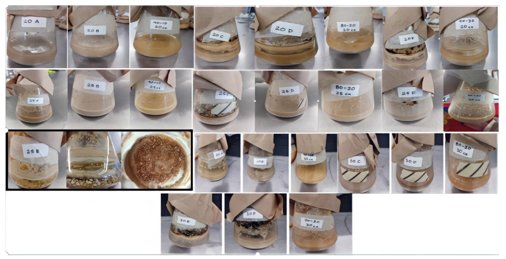 Fermentation 08 00243 g001 Fermentation 08 00243 g001