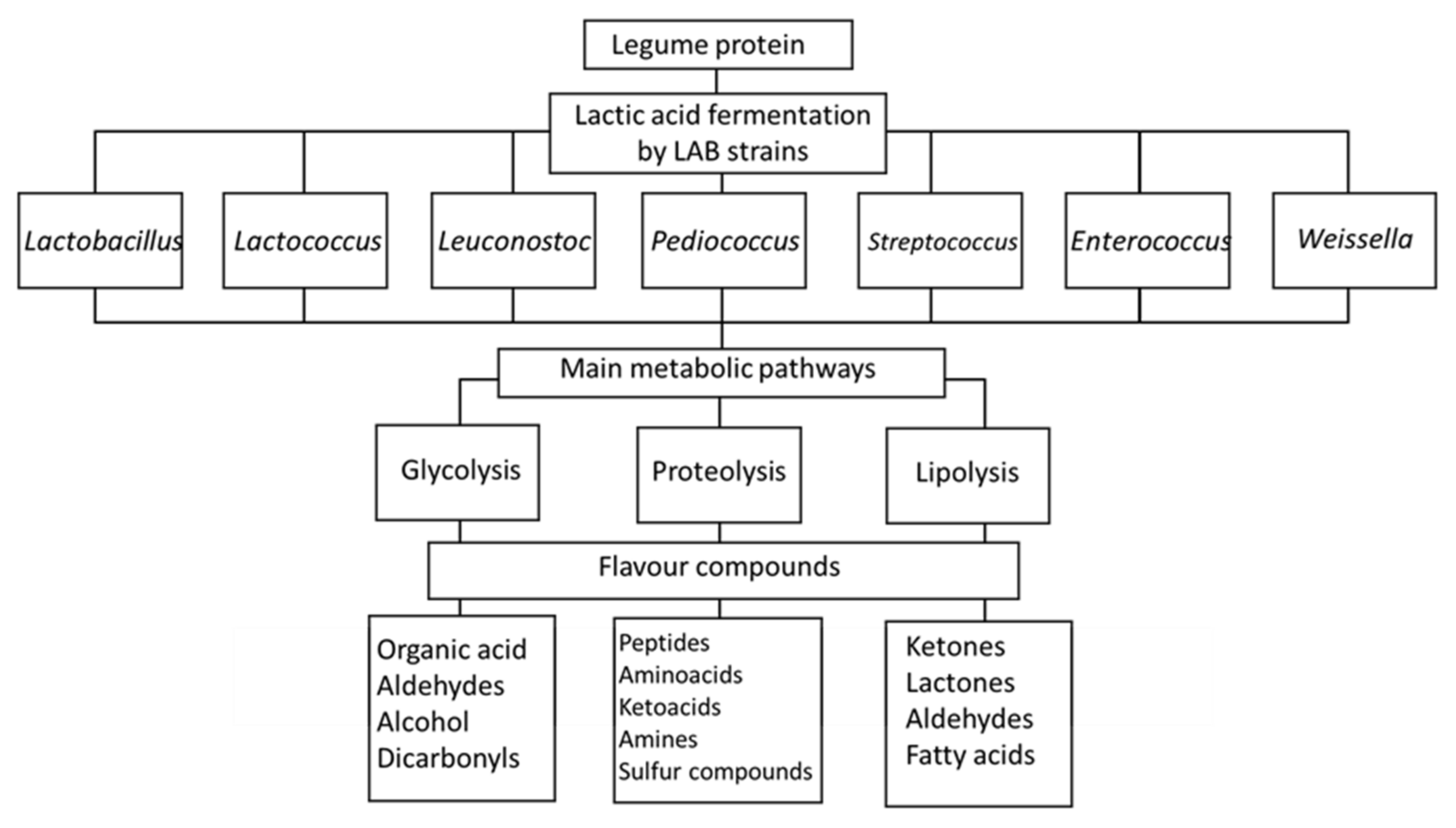 Fermentation 08 00244 g002 Fermentation 08 00244 g002