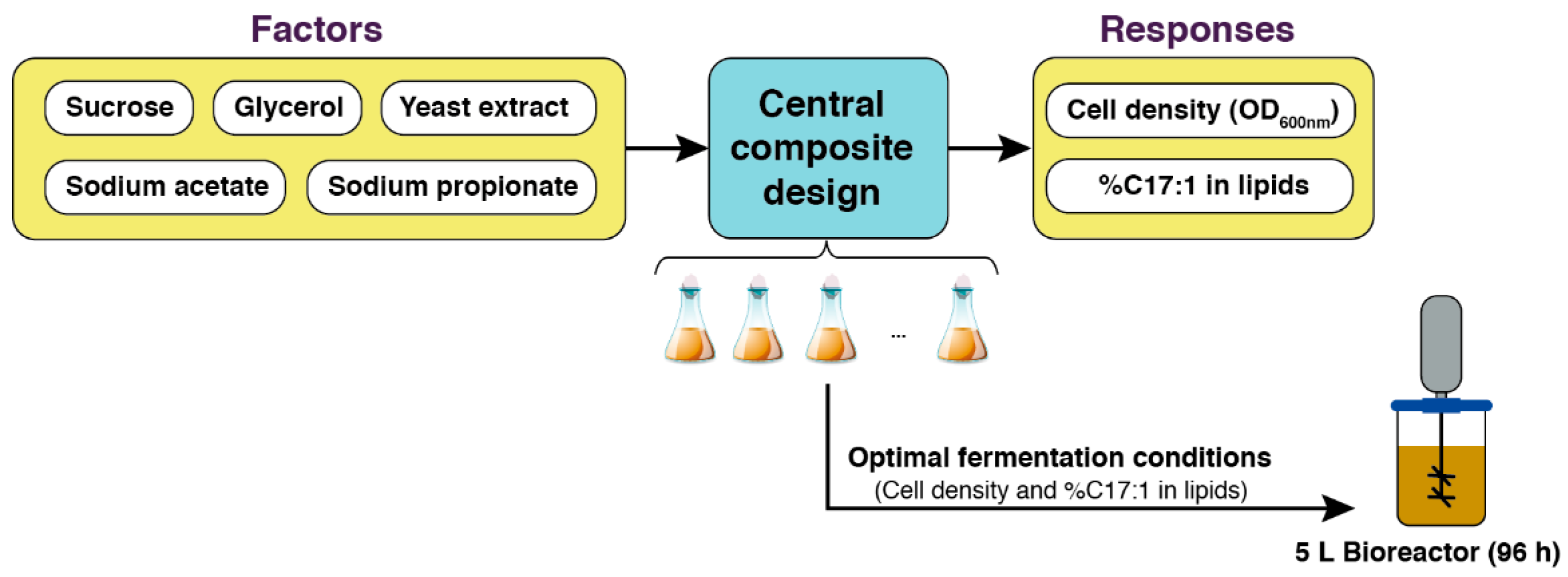 Fermentation 08 00245 g001 550
