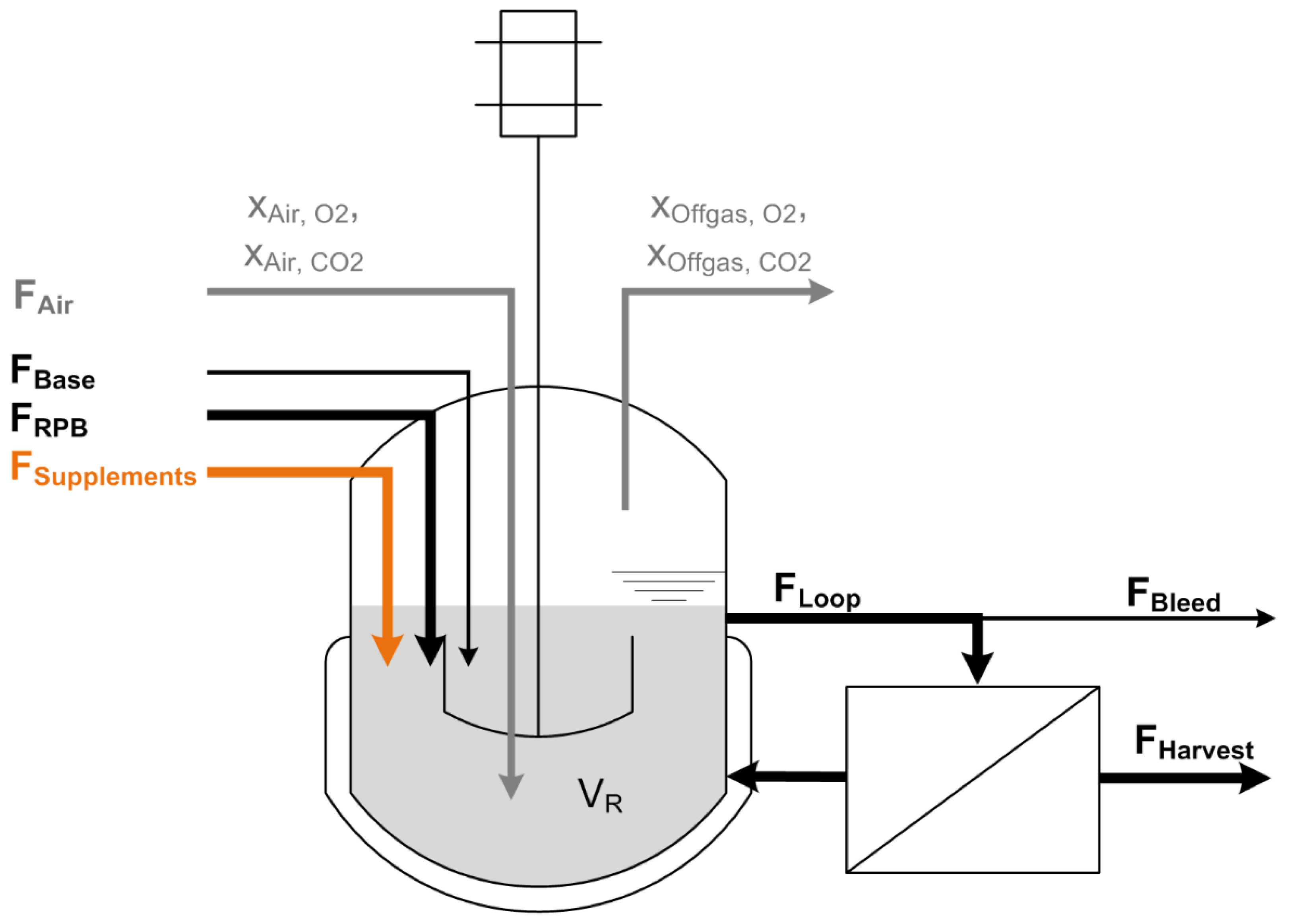 Fermentation 08 00246 g001