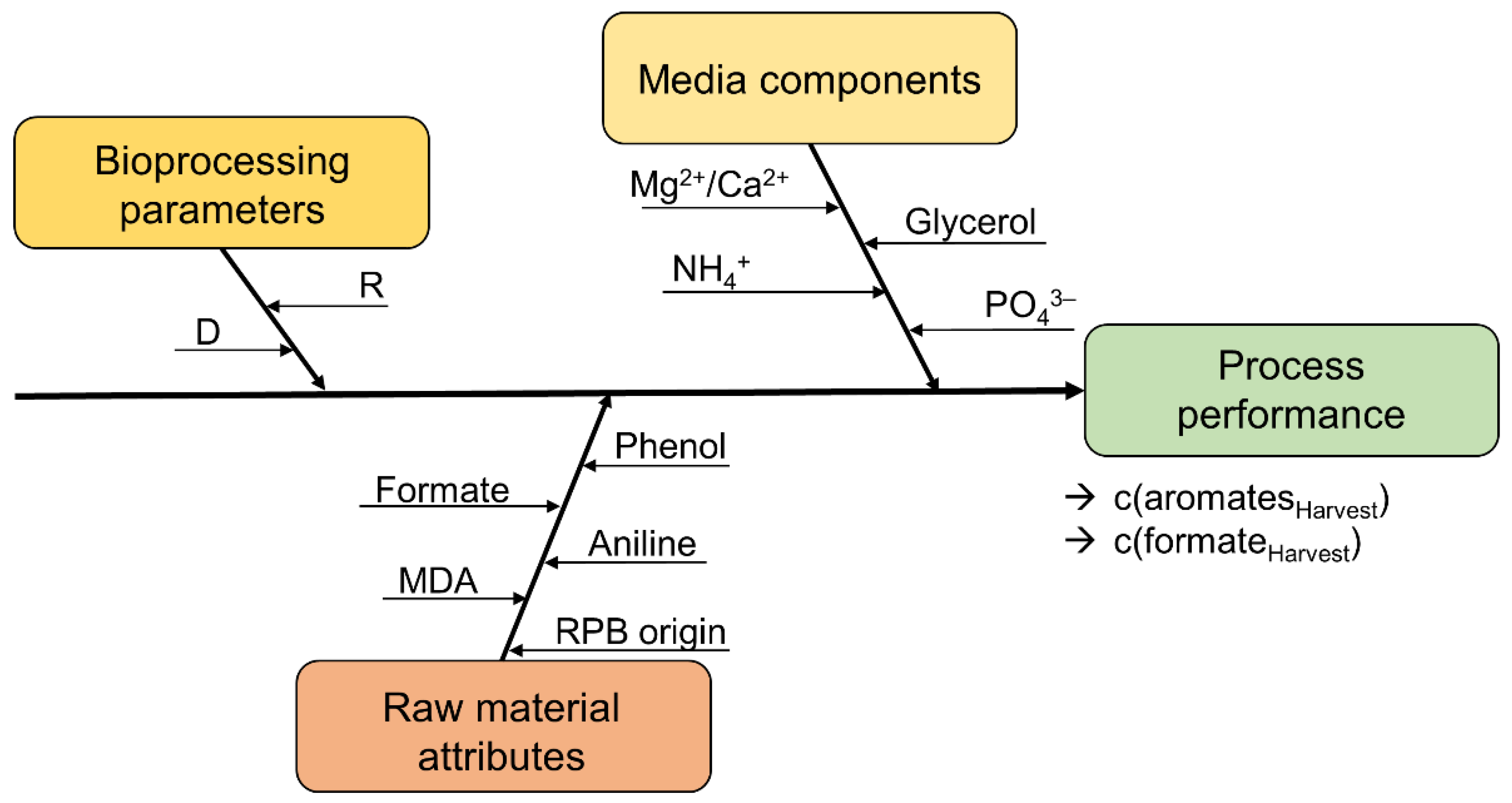 Fermentation 08 00246 g002