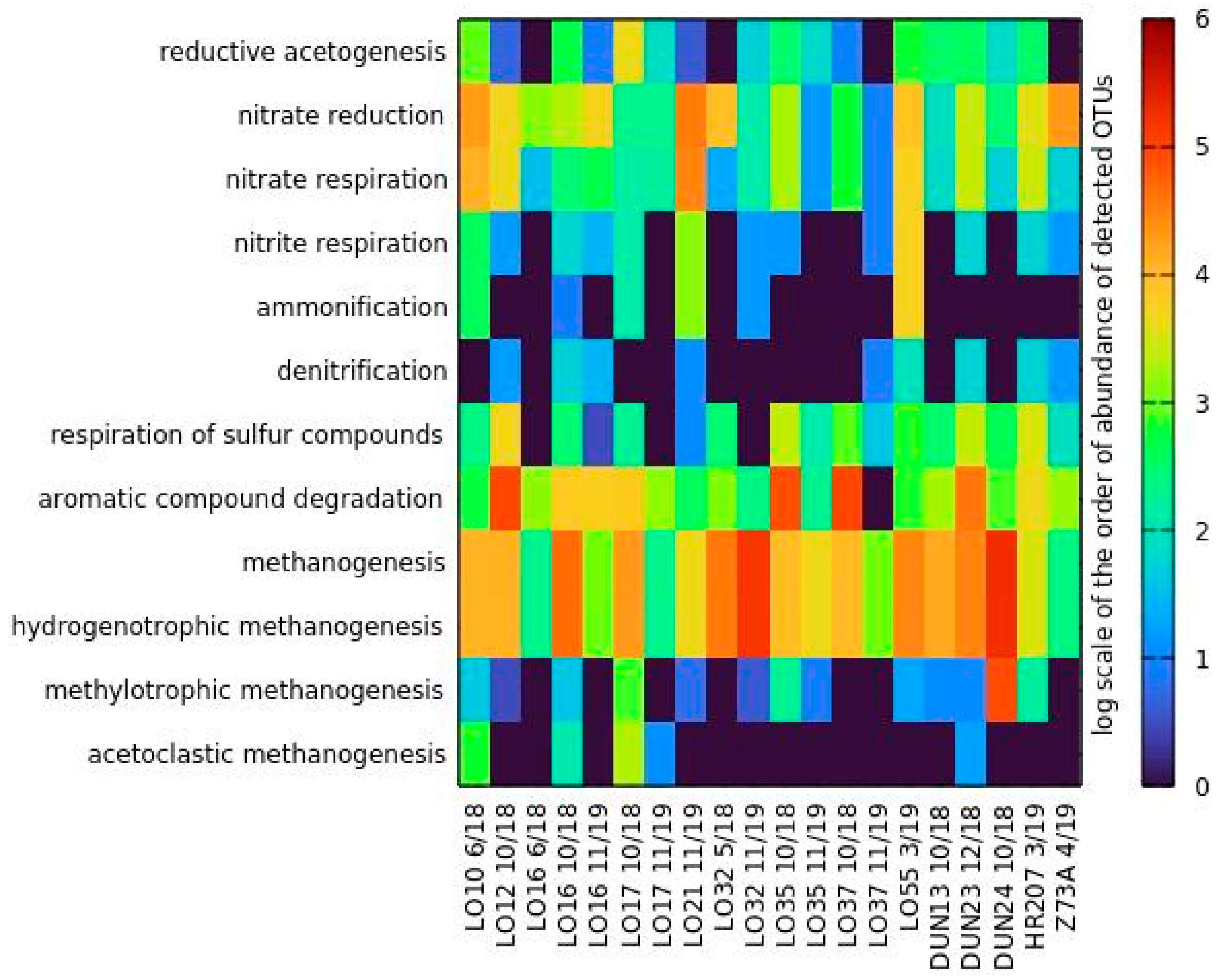 Fermentation 08 00251 g004 550