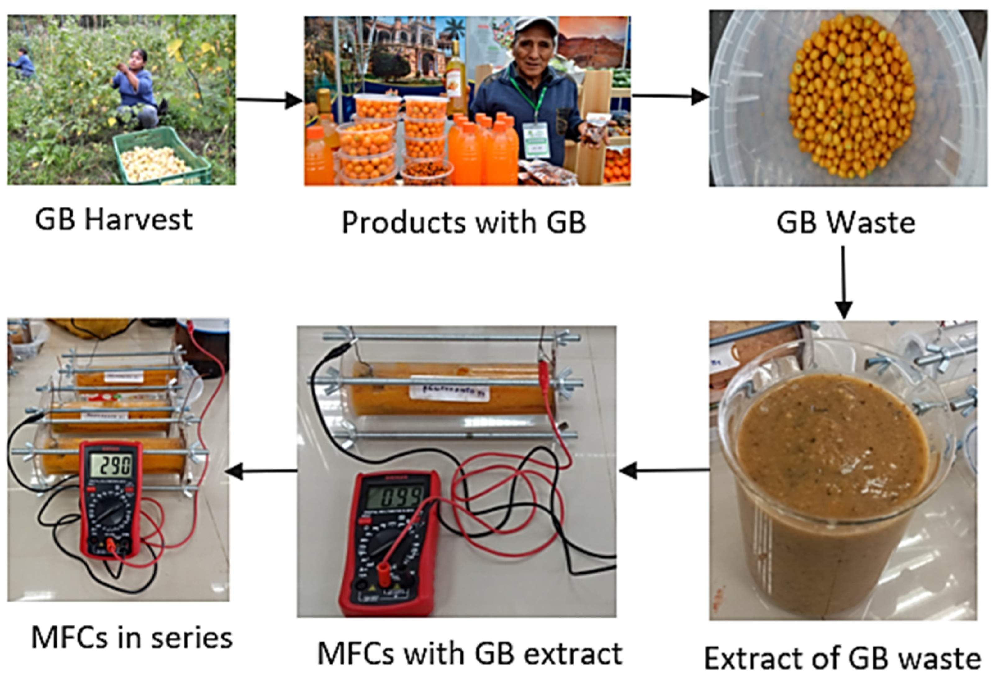 Fermentation 08 00256 g007 550