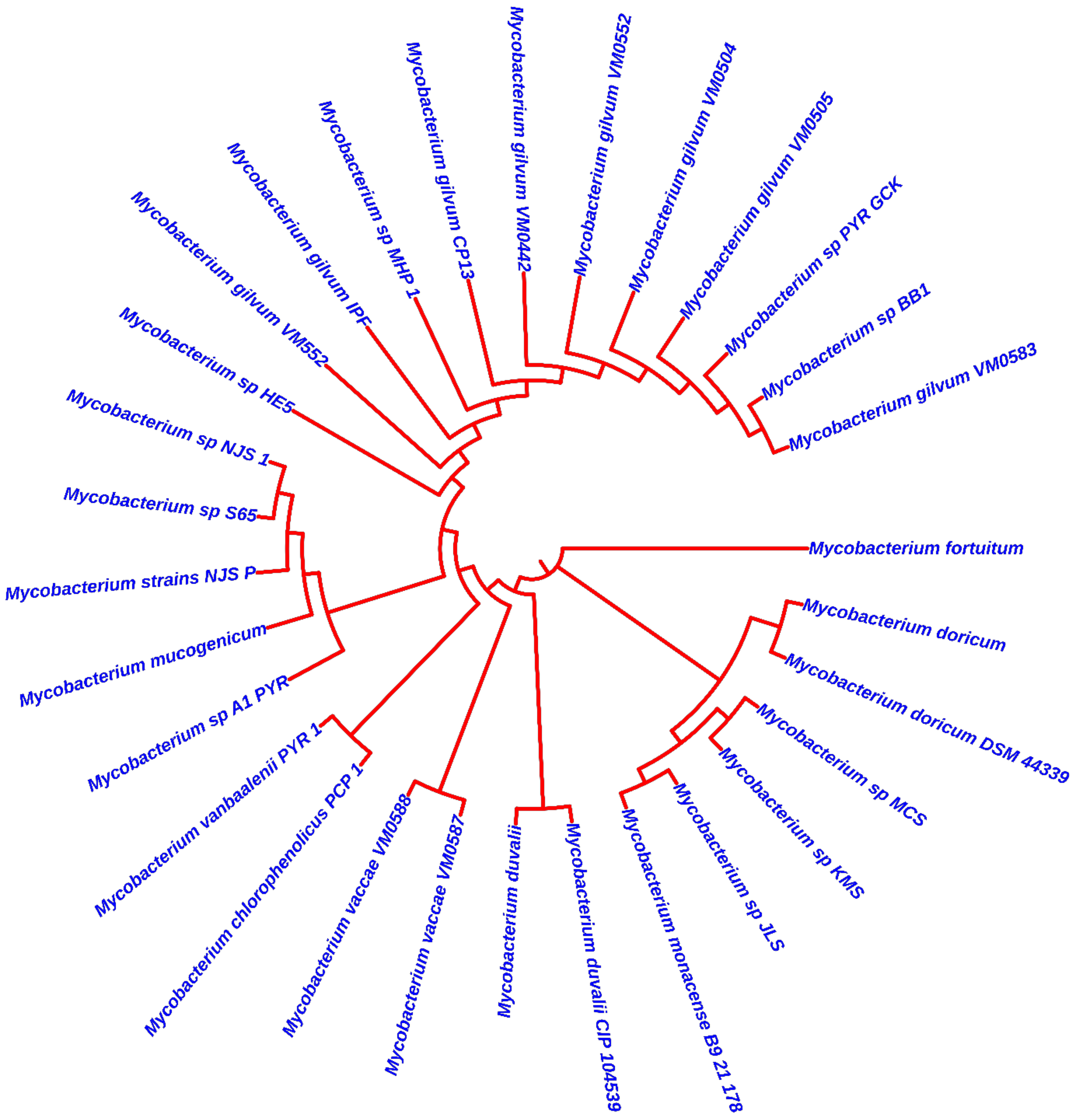 Fermentation 08 00260 g003 Fermentation 08 00260 g003