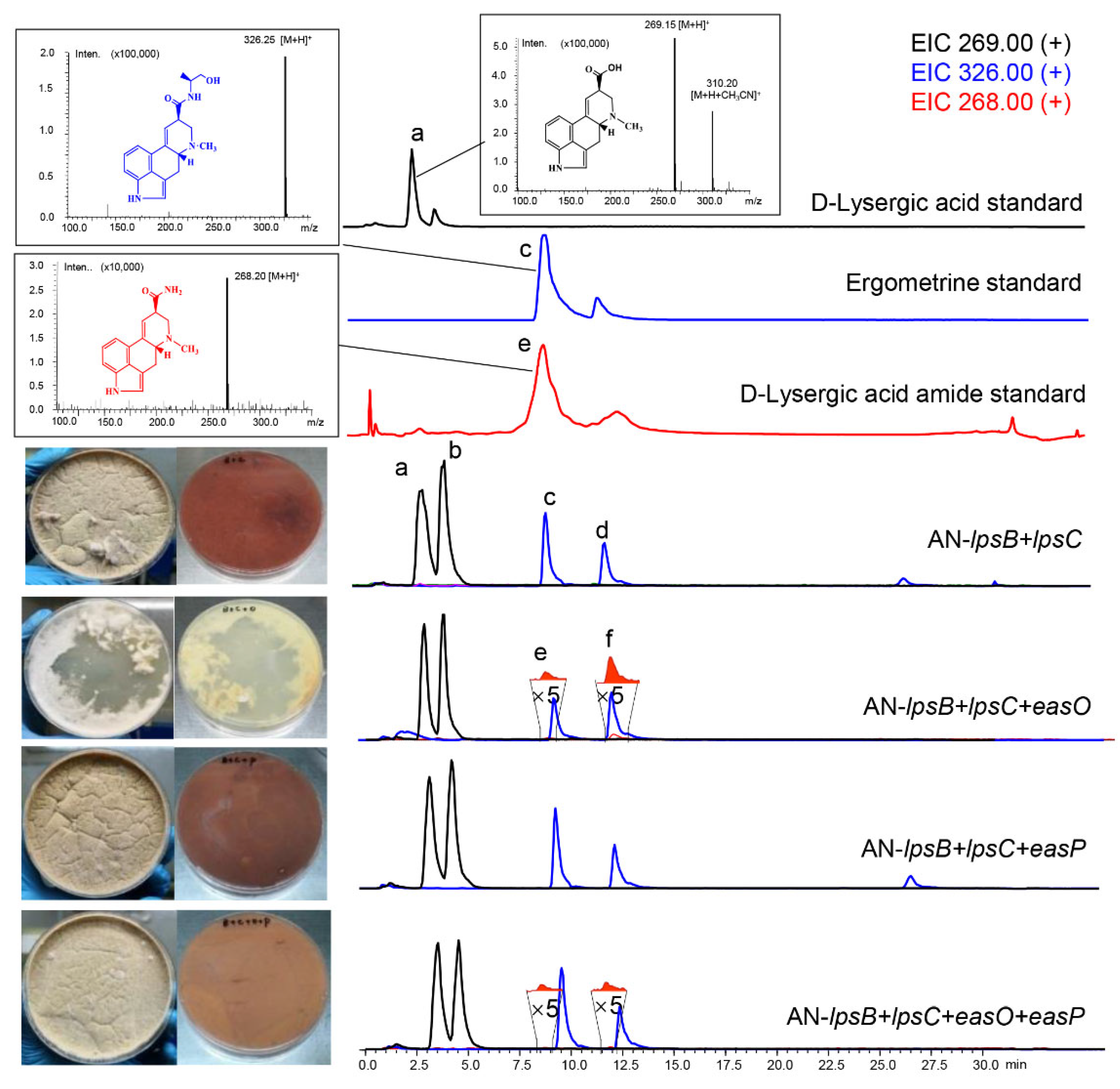 Fermentation 08 00263 g006 550