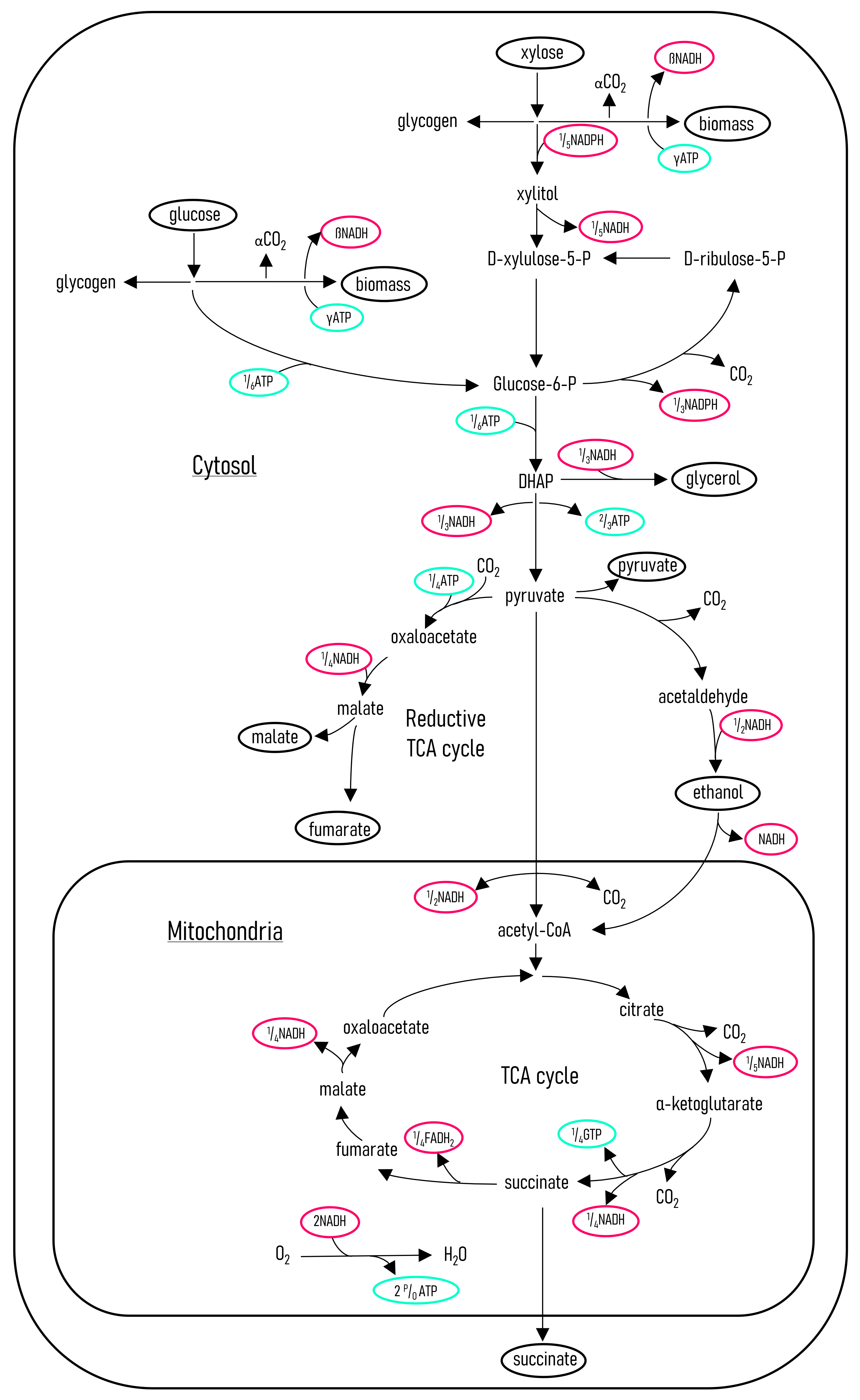 Fermentation 08 00278 g007
